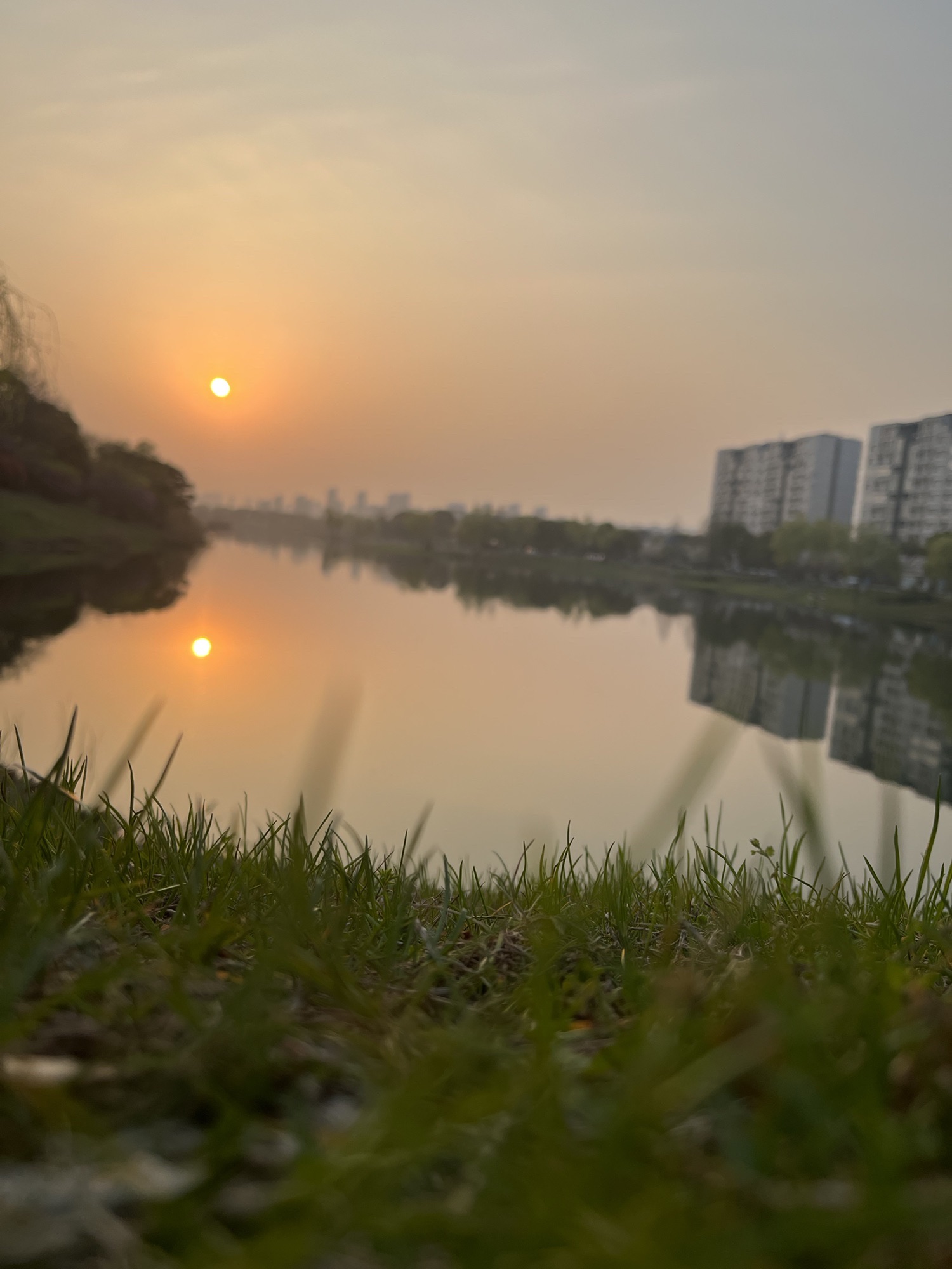 大溪港湿地公园旅行图片 1