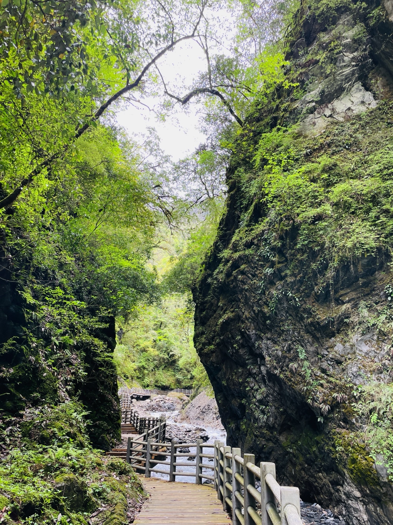 虎牙大峡谷旅行图片 3