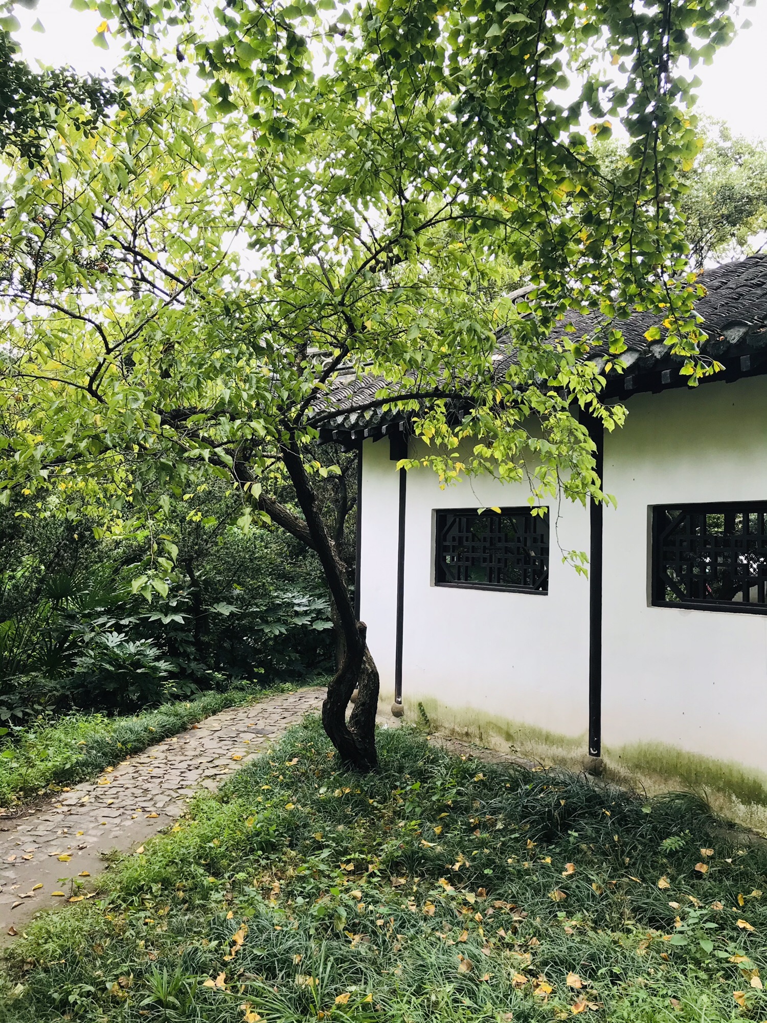 南通狼山风景名胜区-鼓石