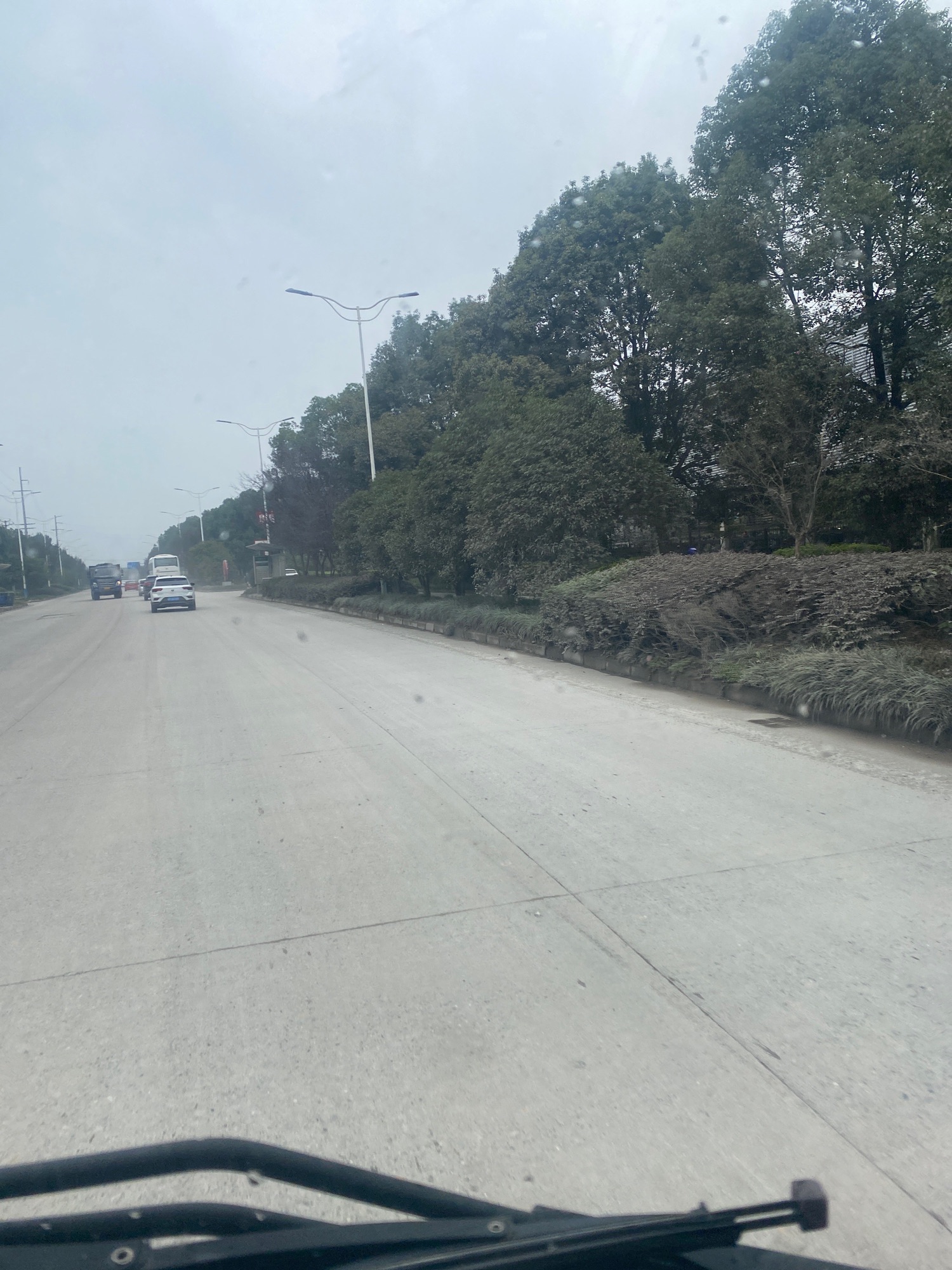南山公园旅行图片 3