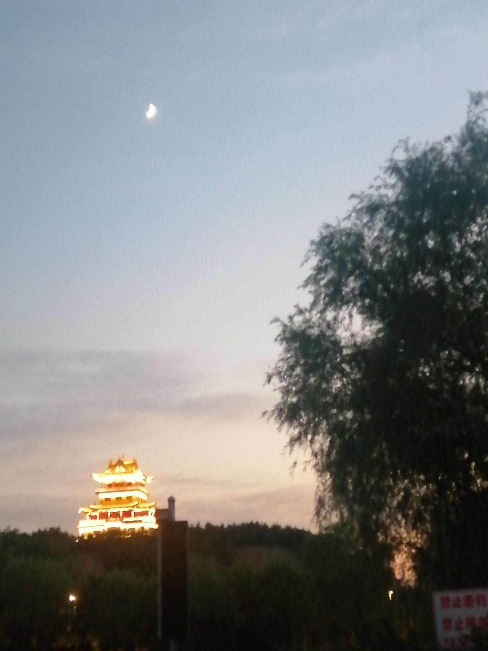 新阳广场旅行图片 1