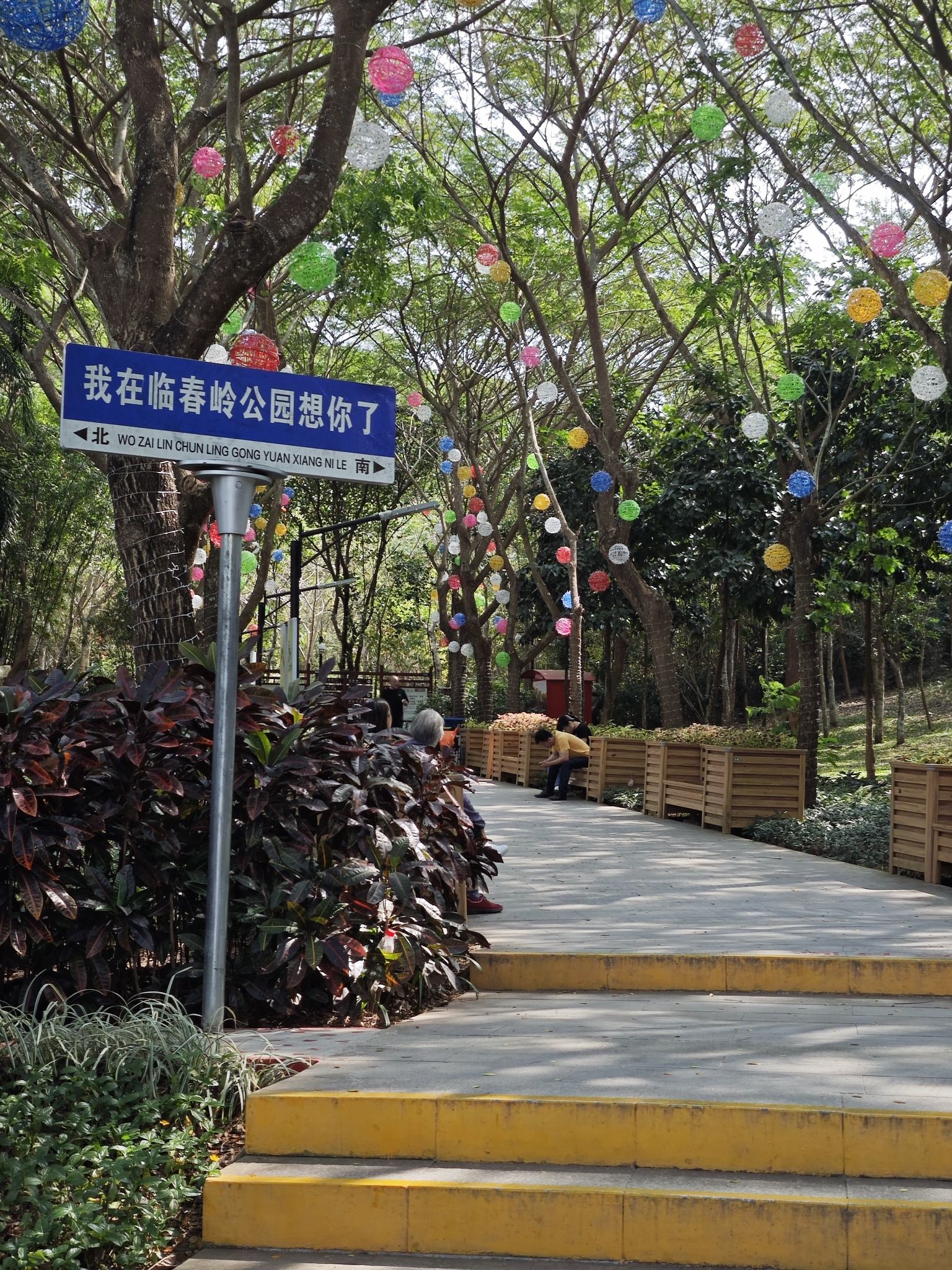 临春岭森林公园旅行图片 3