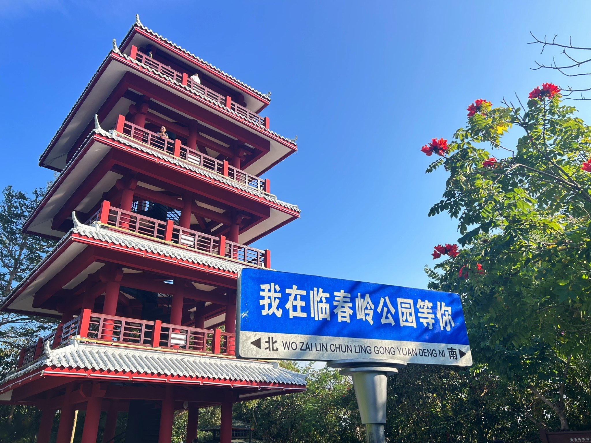 临春岭森林公园现场照片 2