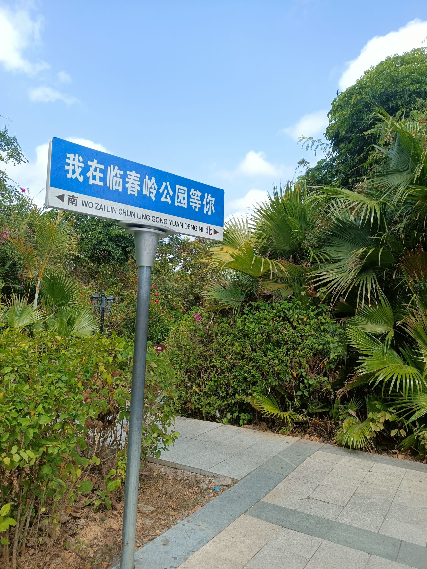 临春岭森林公园旅行图片 3