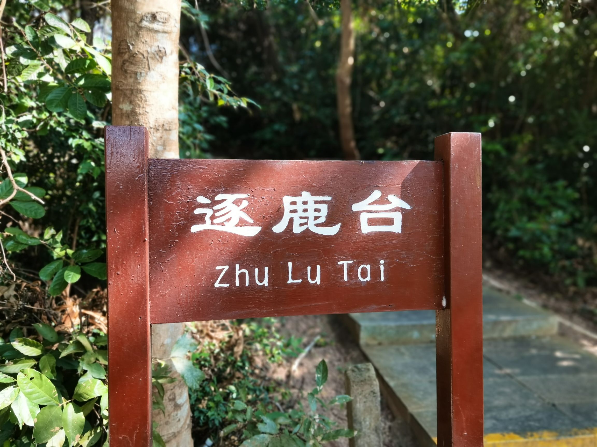 临春岭森林公园旅行图片 3