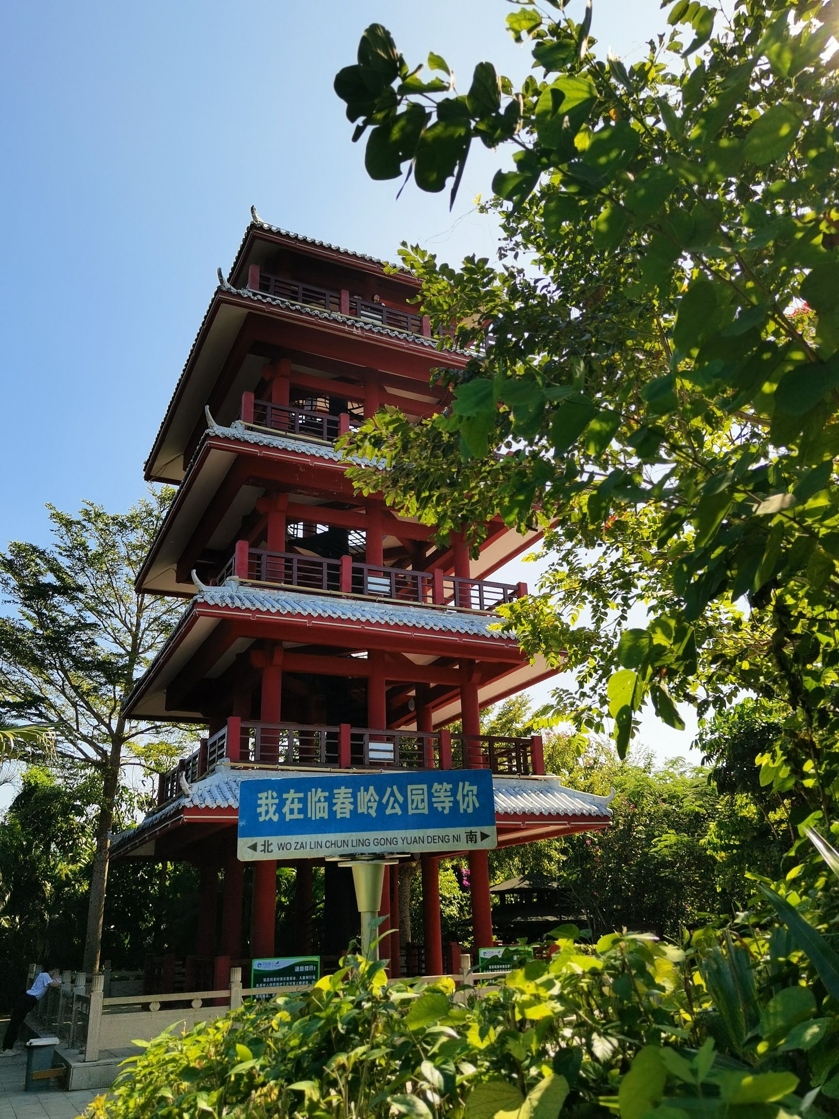 临春岭森林公园旅行图片 2