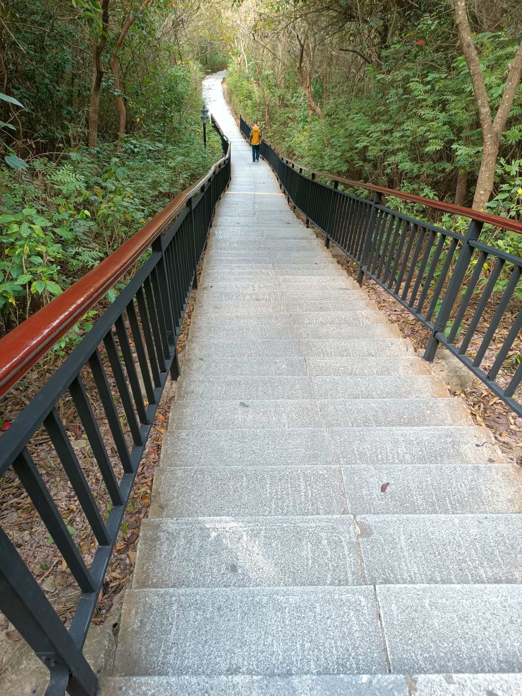 临春岭森林公园旅行图片 1