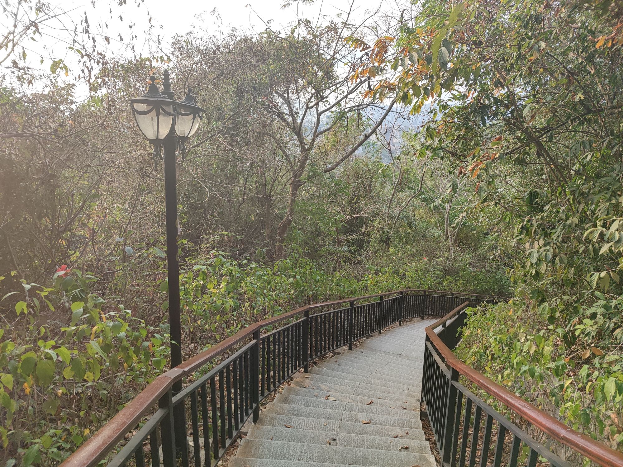 临春岭森林公园旅行图片 3