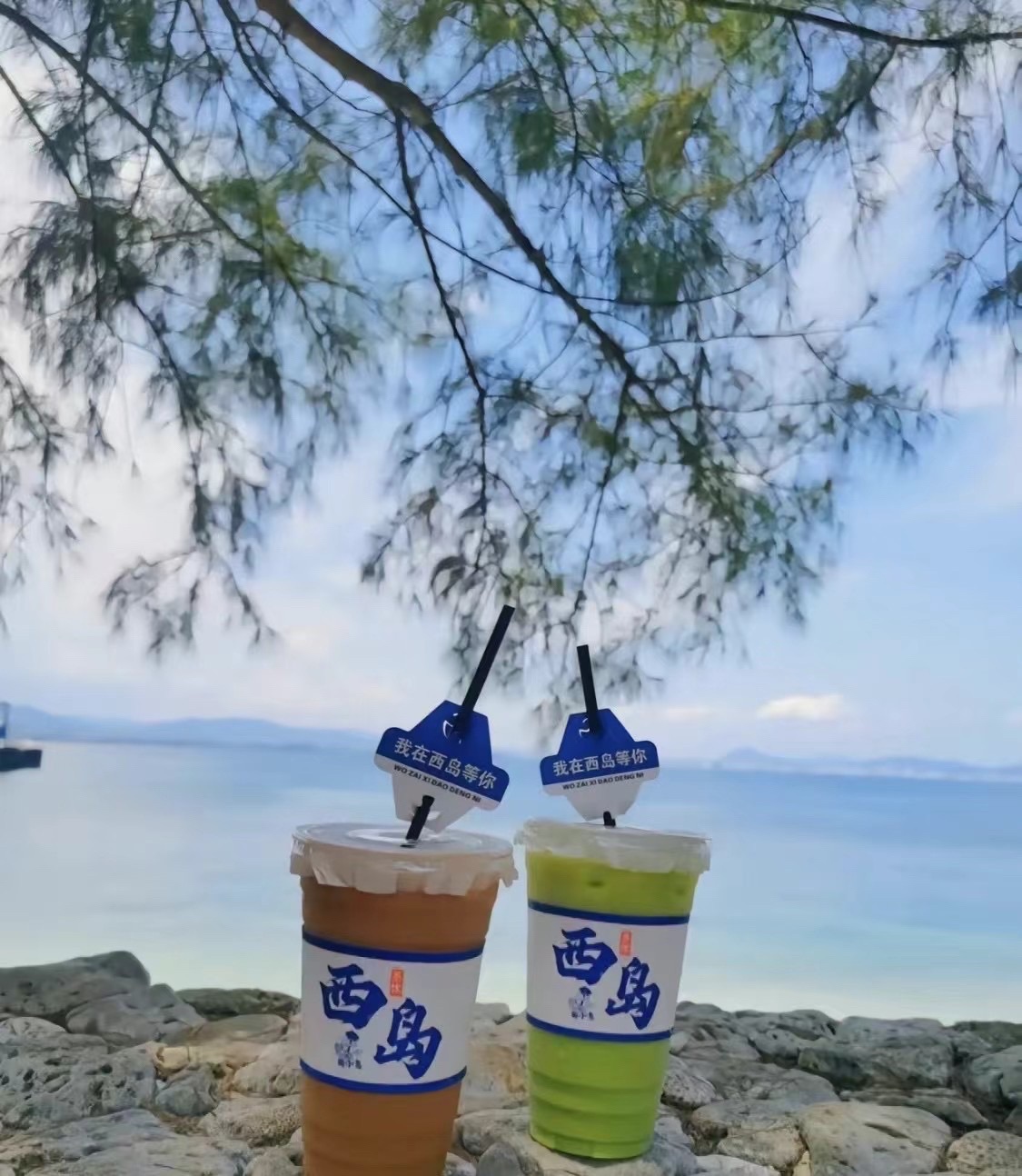 三亚西岛海洋文化旅游区售票处