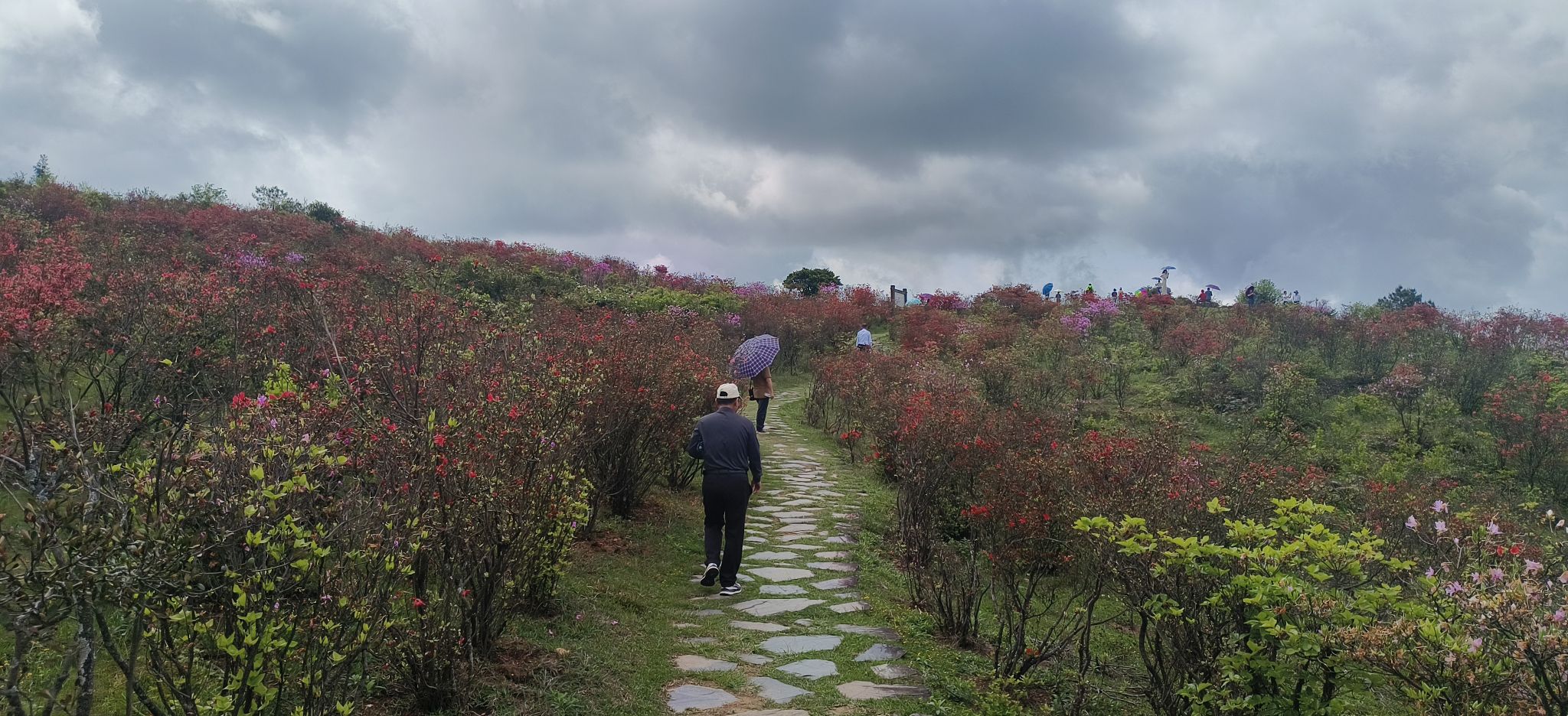 云顶旅游度假区旅行图片 3