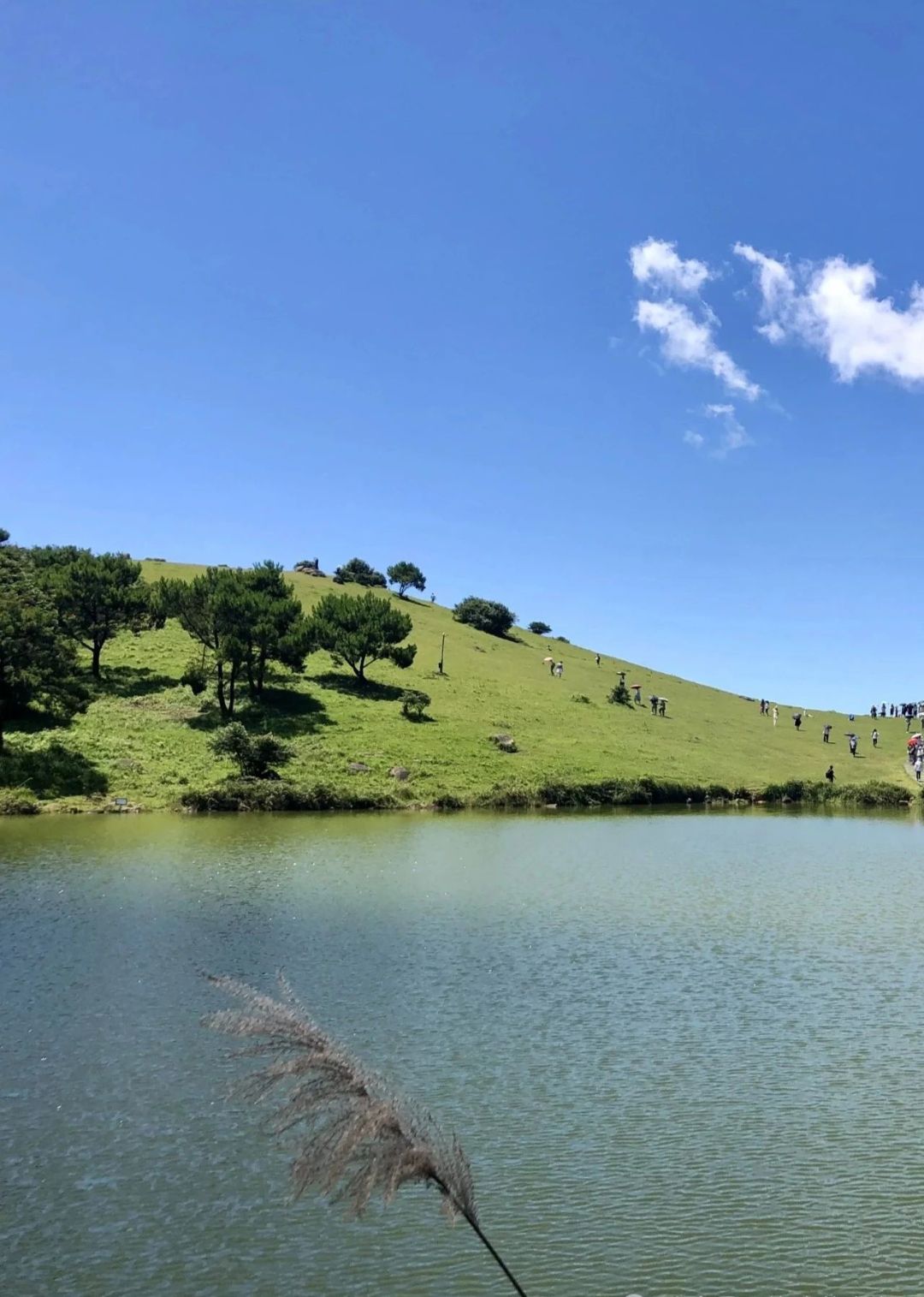 云顶旅游度假区旅行图片 1