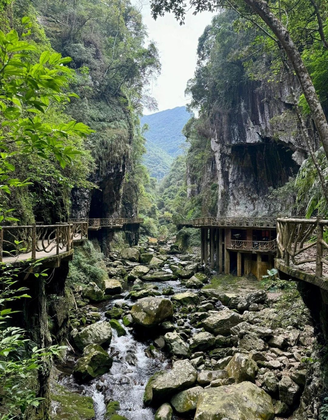 云顶旅游度假区旅行图片 3