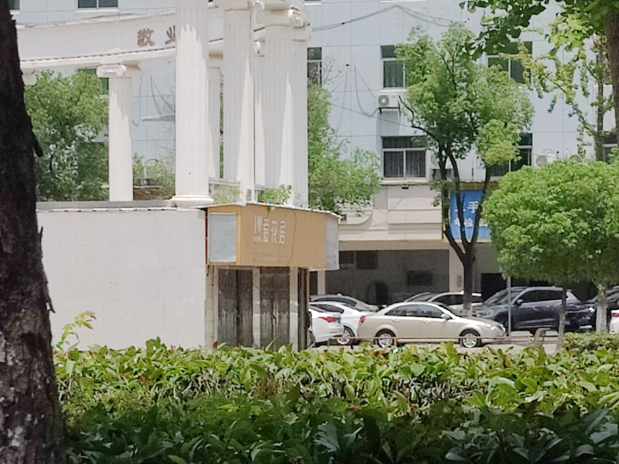 火炬广场旅行图片 2