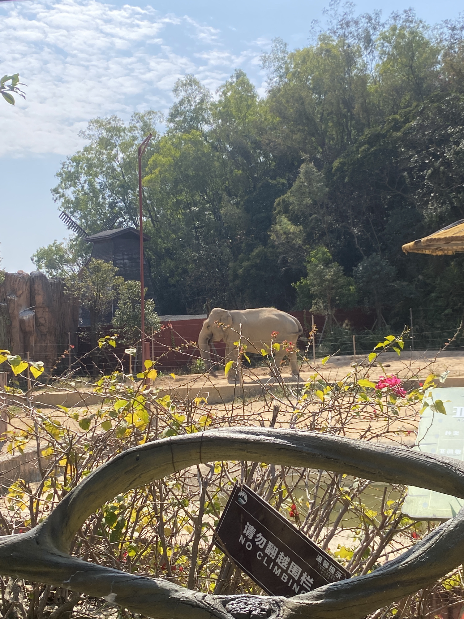 望天湖旅游度假区旅行图片 1