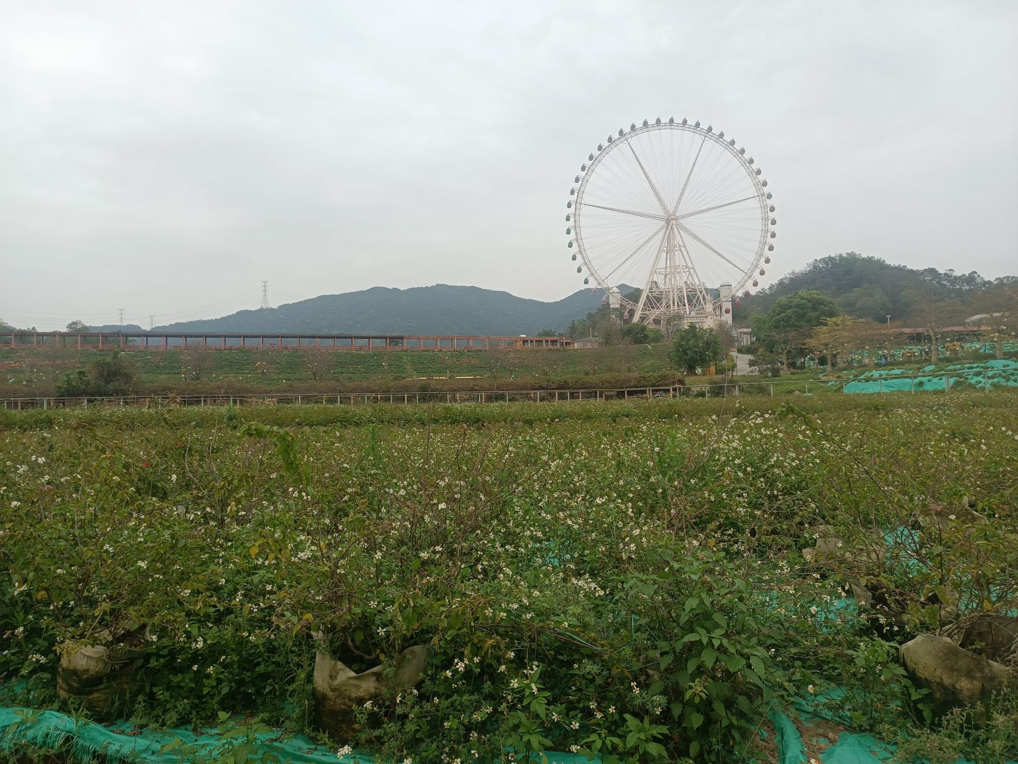 望天湖旅游度假区旅行图片 2