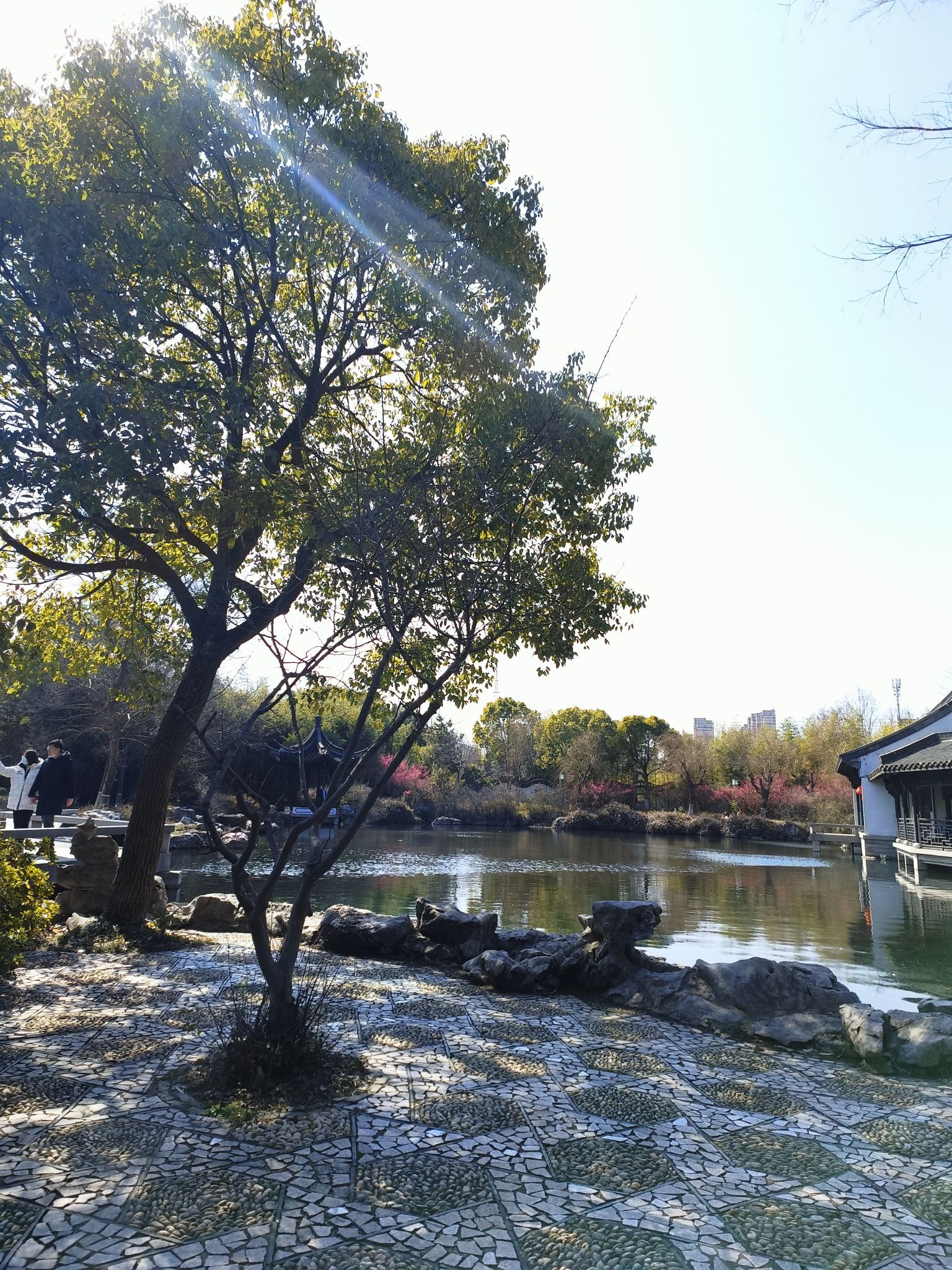 万竹园旅行图片 3