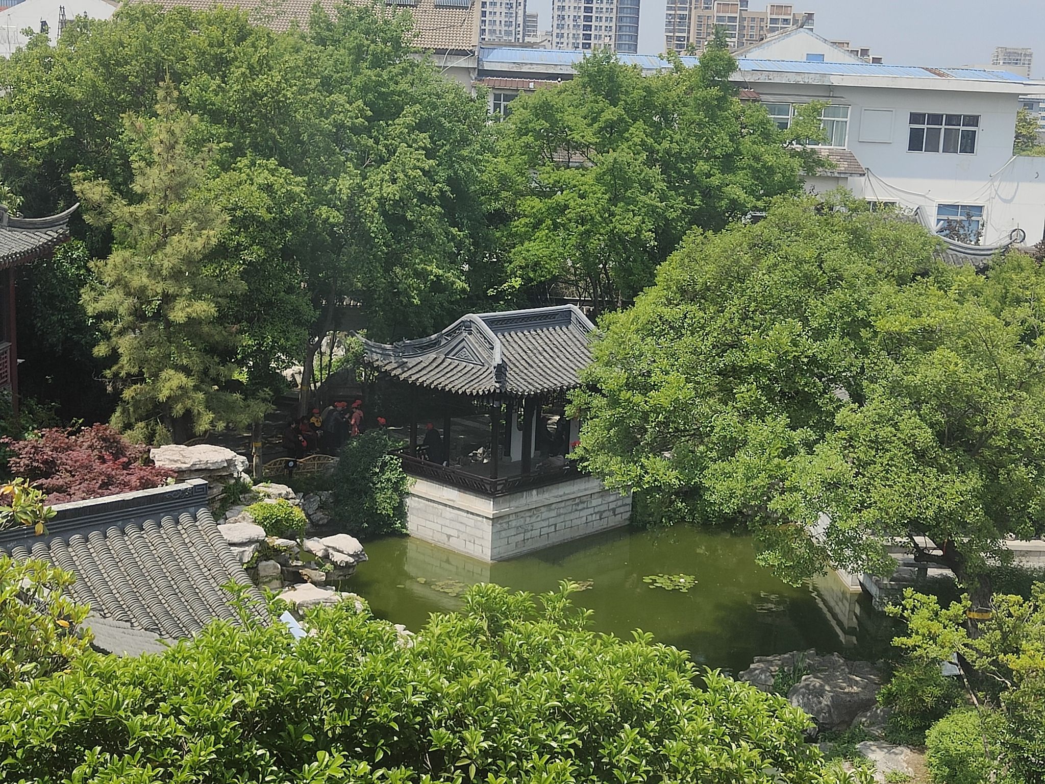 万竹园旅行图片 3