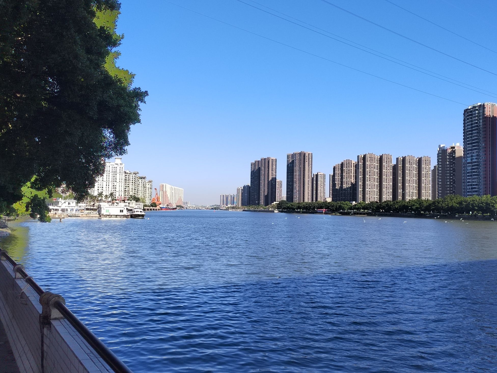 黄岐公园旅行图片 1