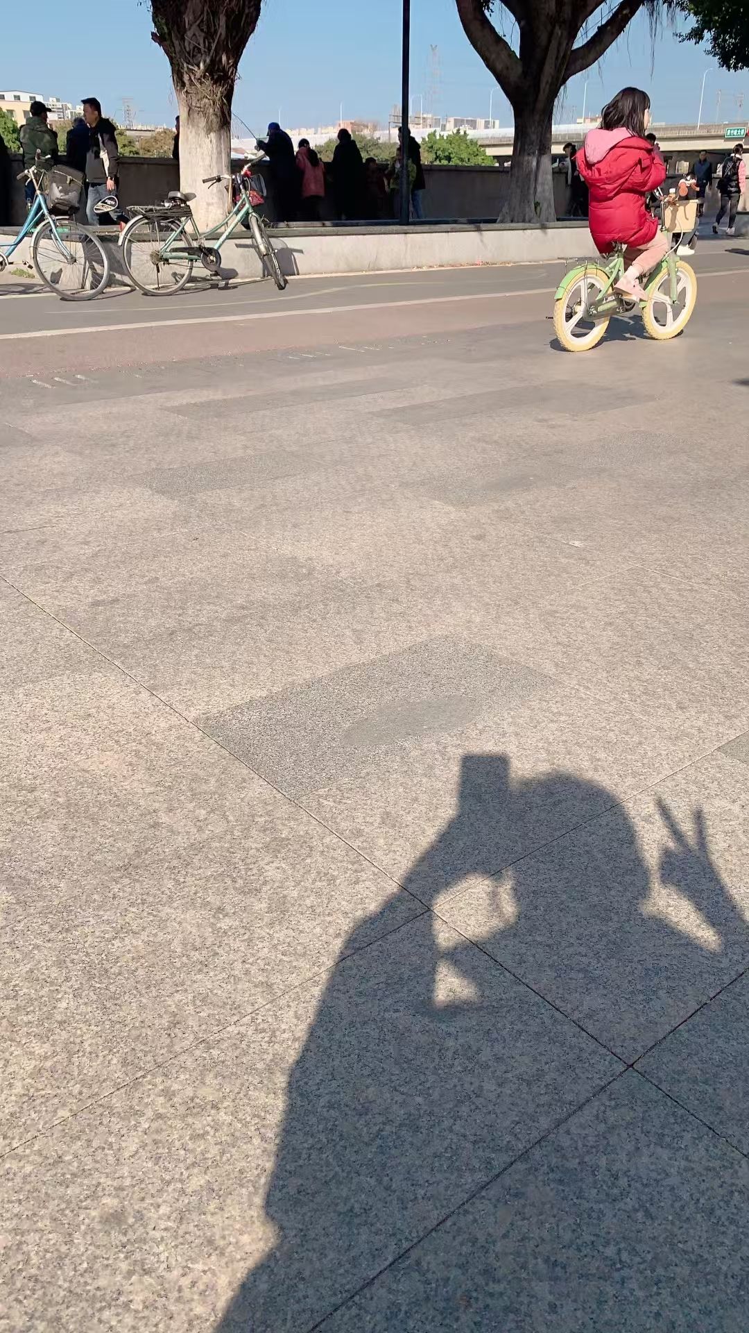 黄岐公园旅行图片 3