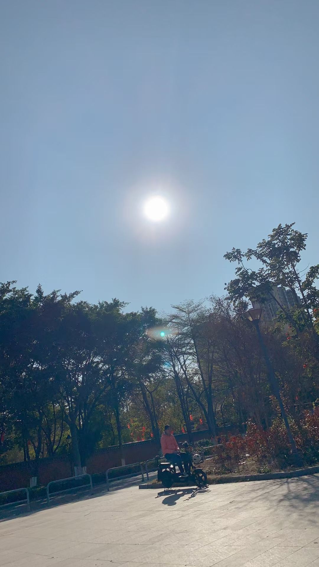 黄岐公园旅行图片 2