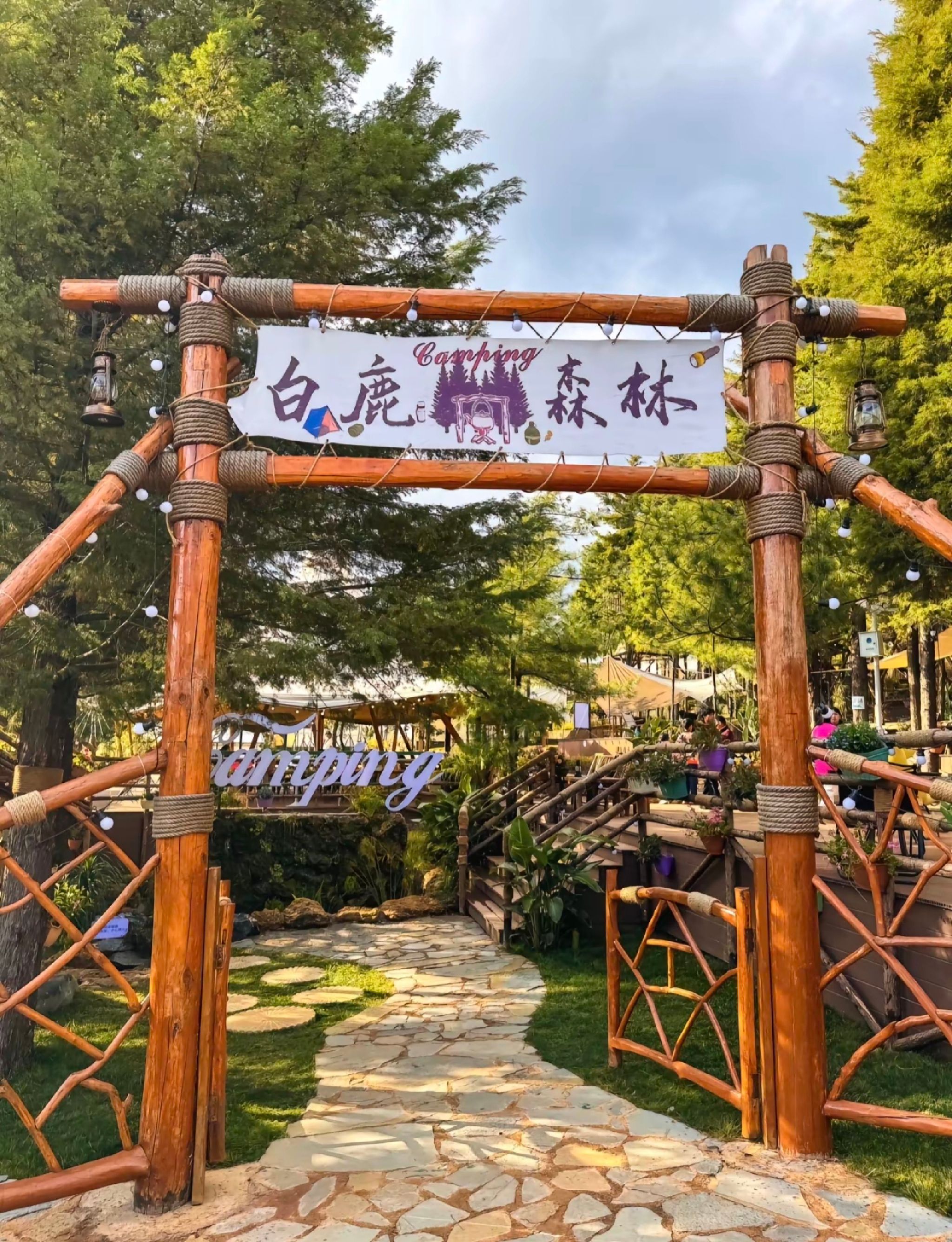 白鹿森林公园旅行图片 1