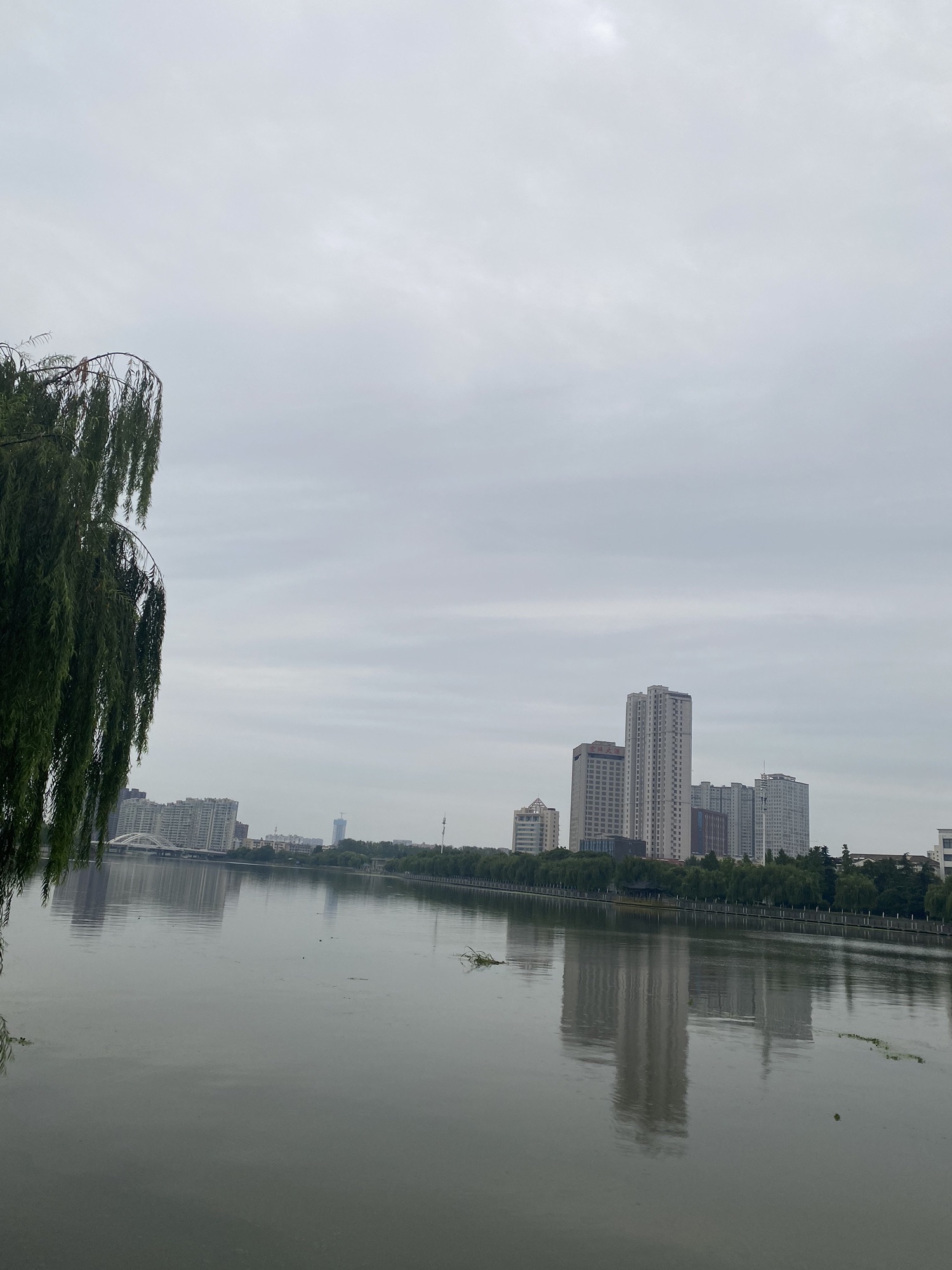 阜宁外滩旅行图片 3