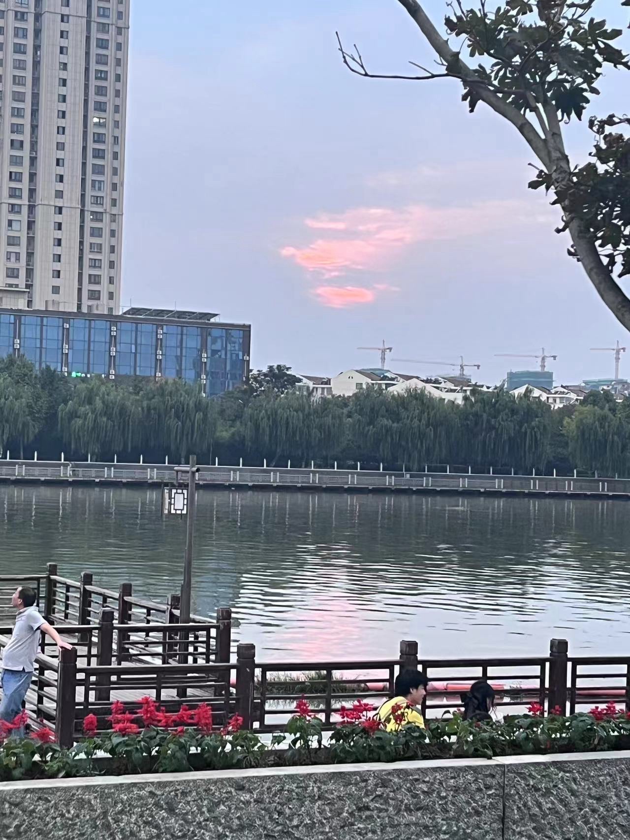 阜宁外滩旅行图片 1