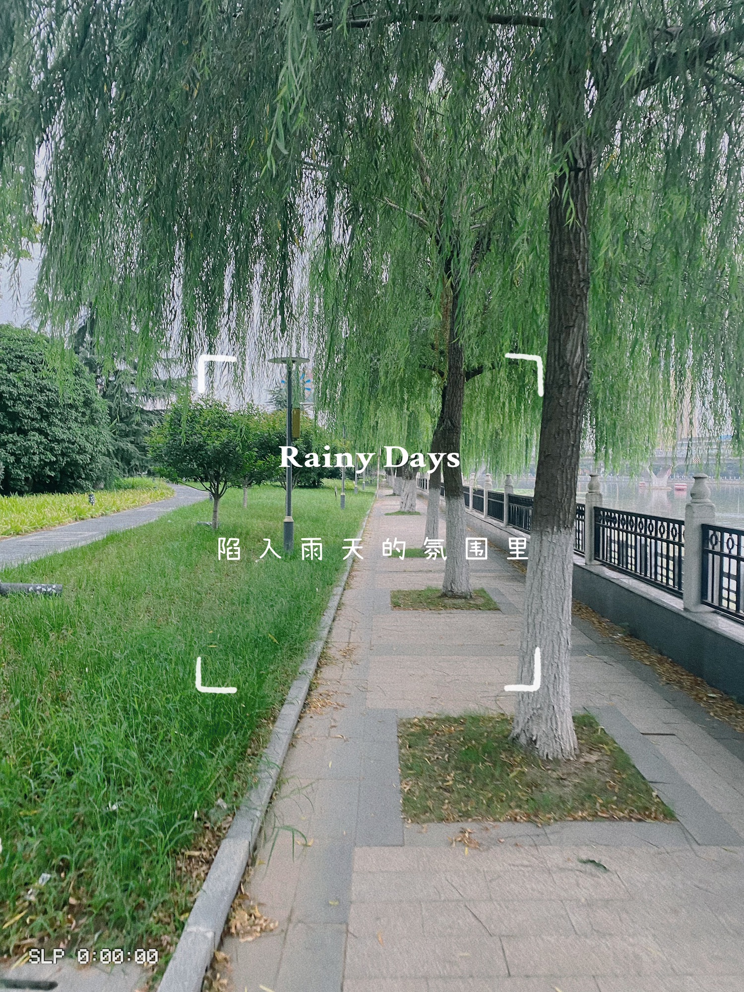 阜宁外滩旅行图片 2