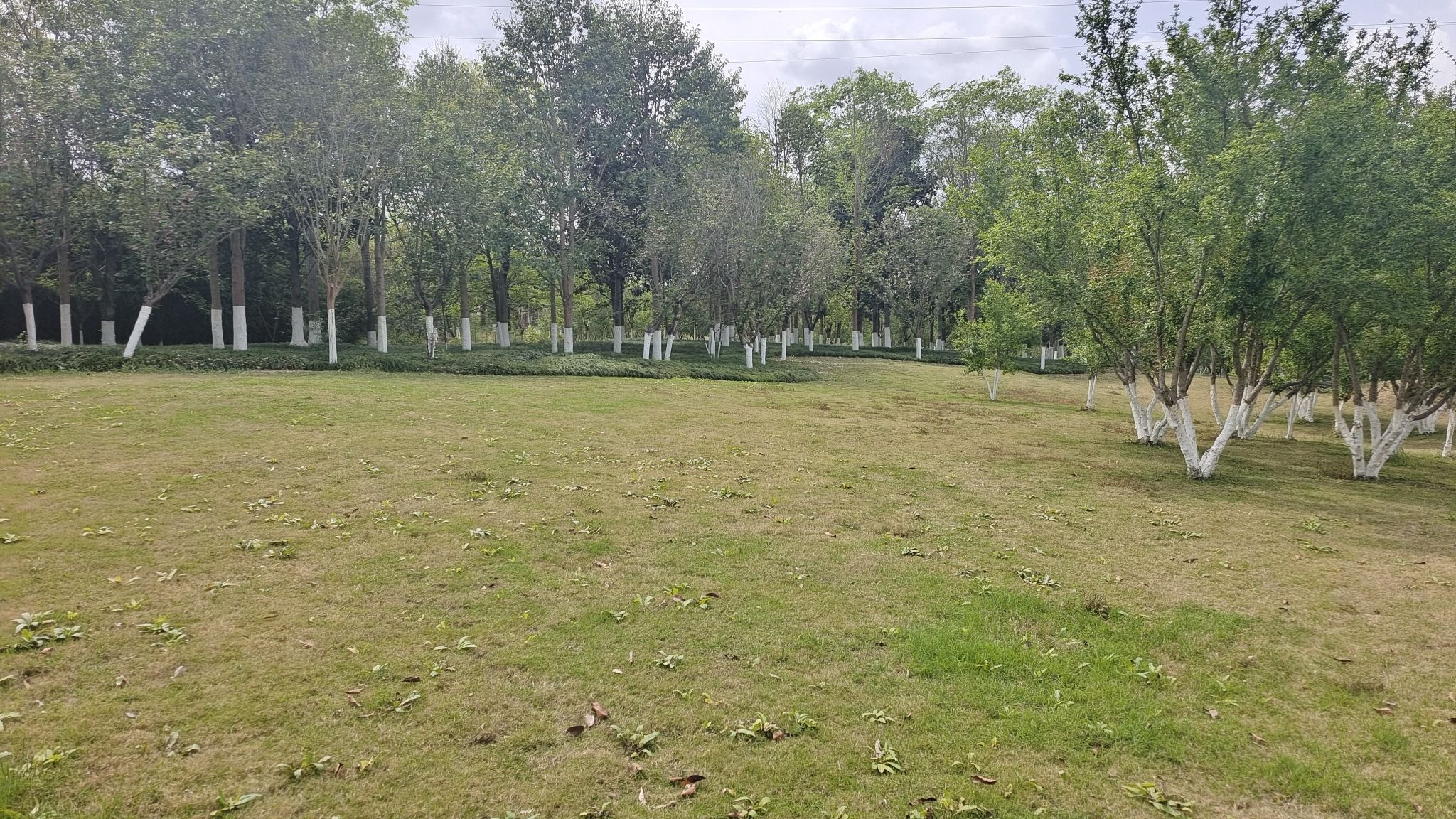 资阳湿地公园旅行图片 2