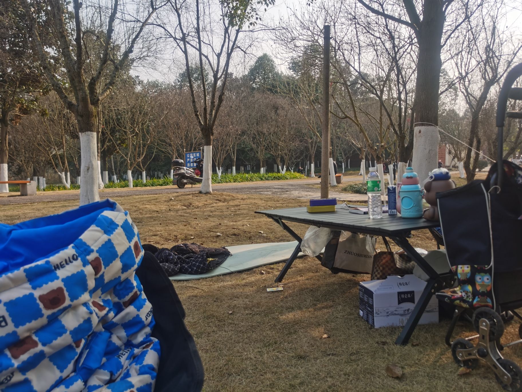 资阳湿地公园旅行图片 1