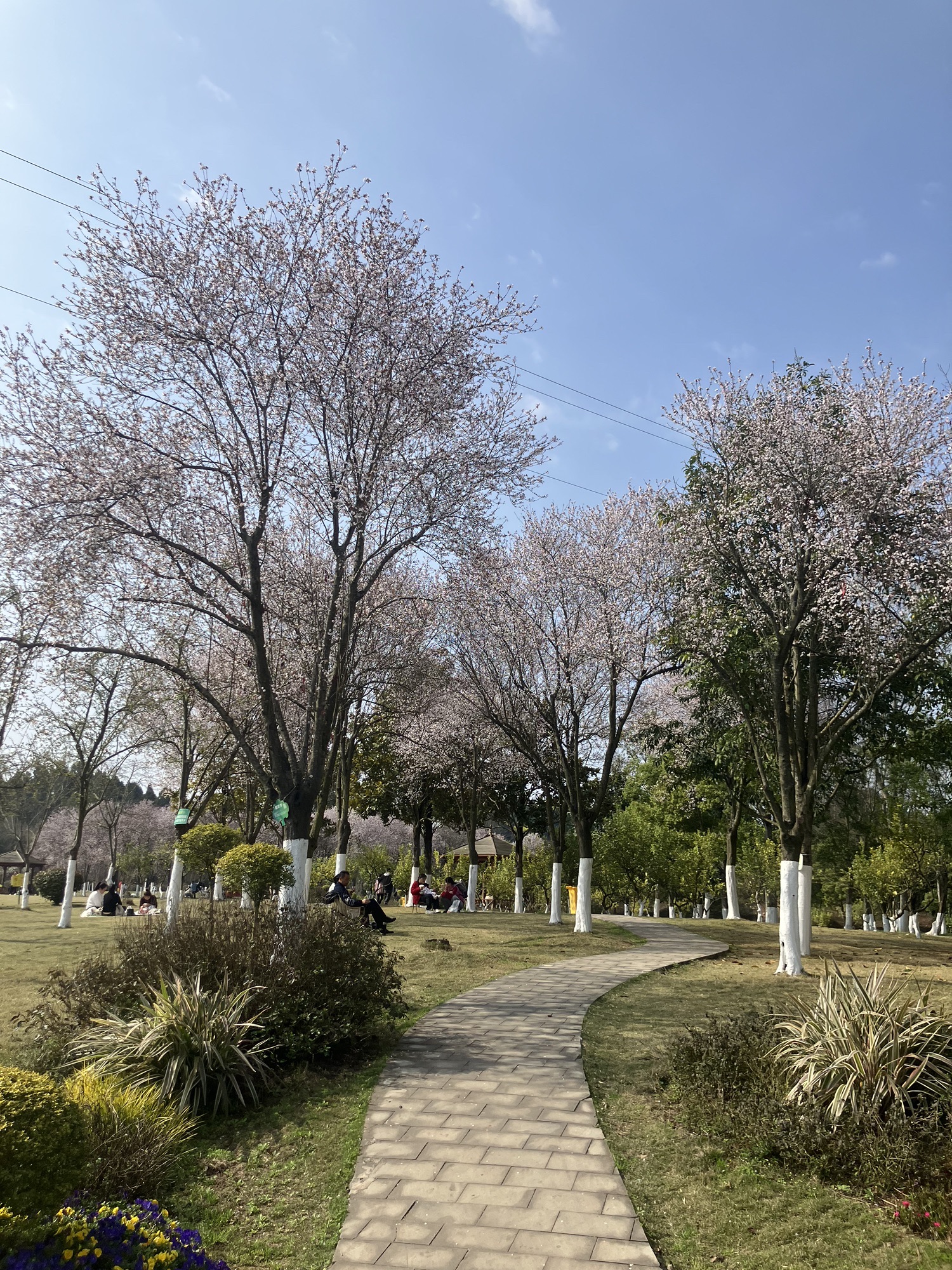 资阳湿地公园
