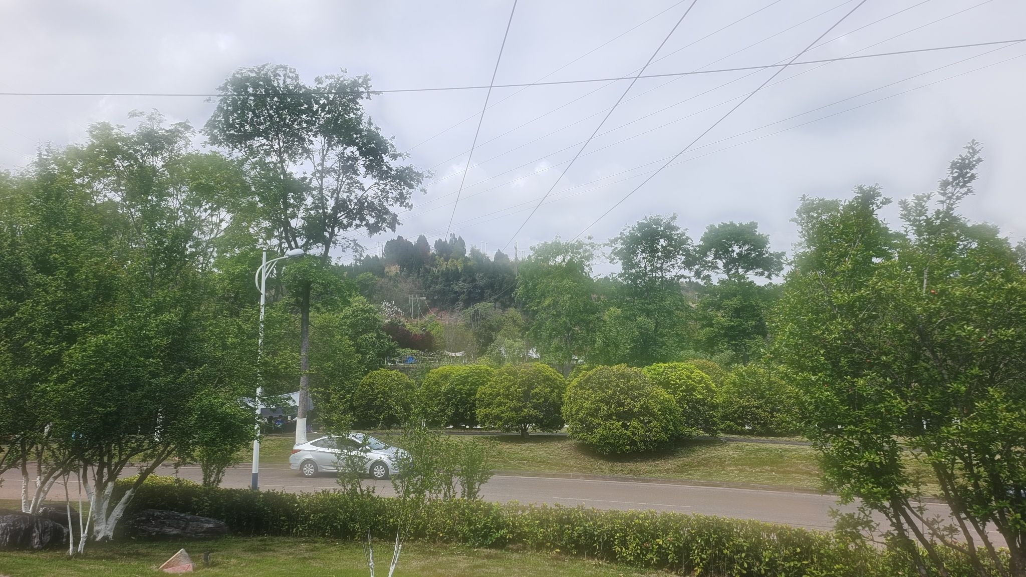 资阳湿地公园旅行图片 3