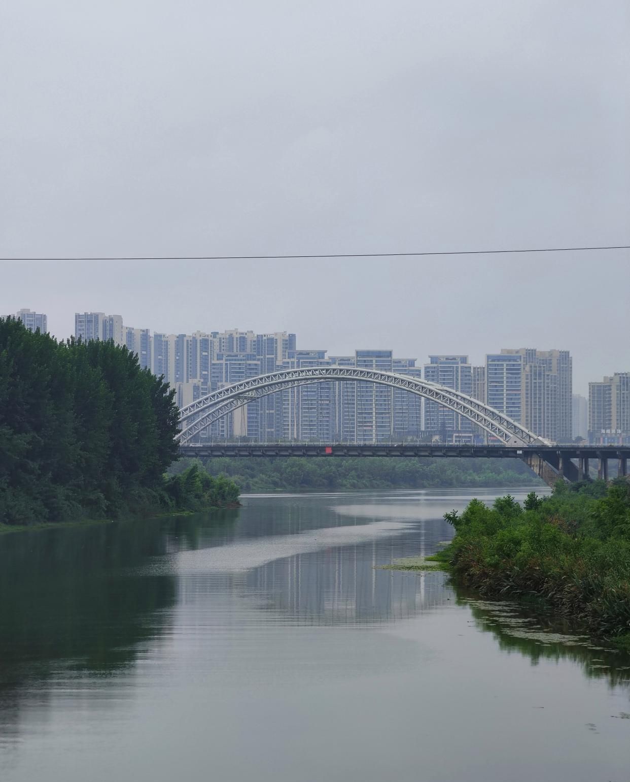 资阳湿地公园旅行图片 1