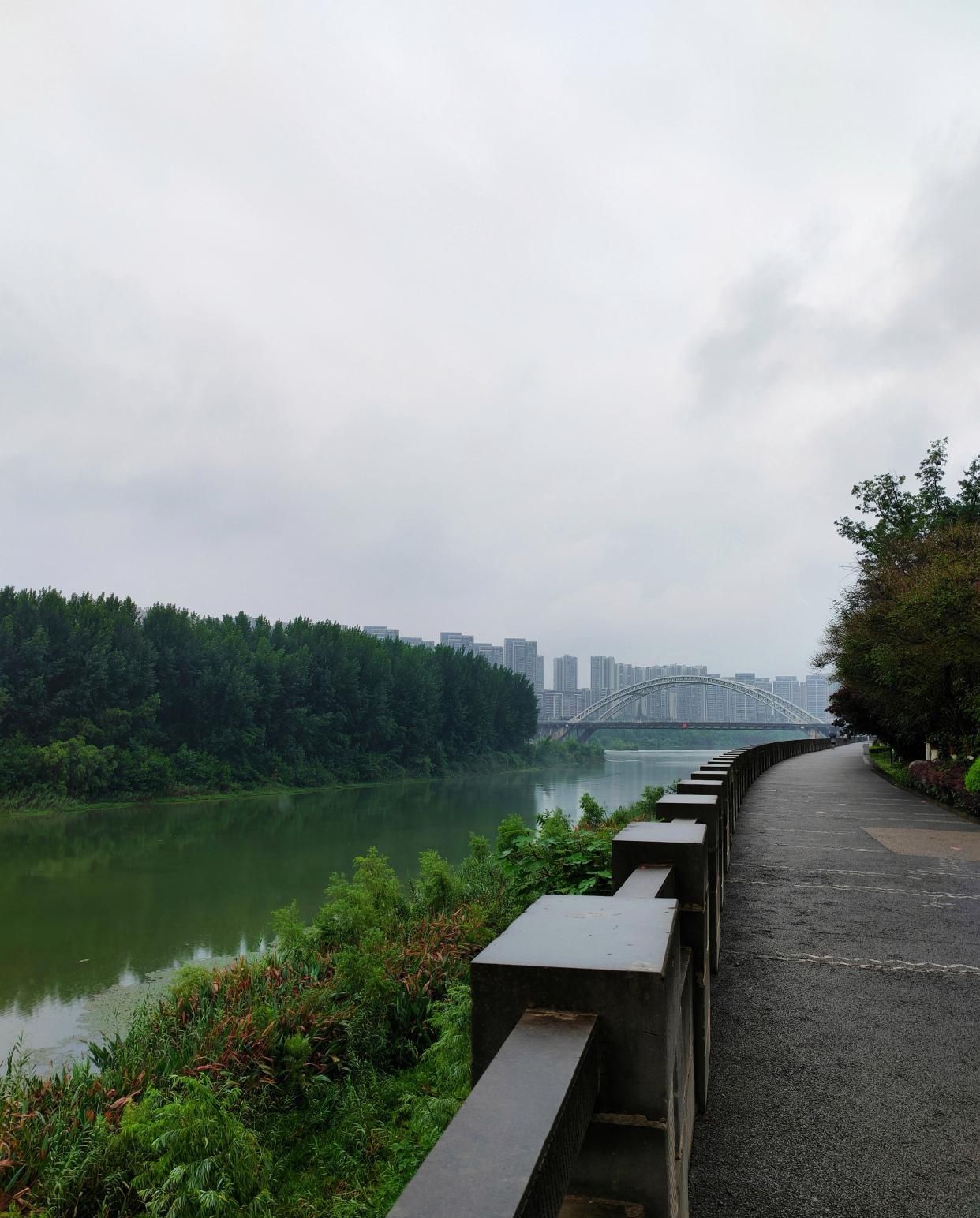 资阳湿地公园旅行图片 2