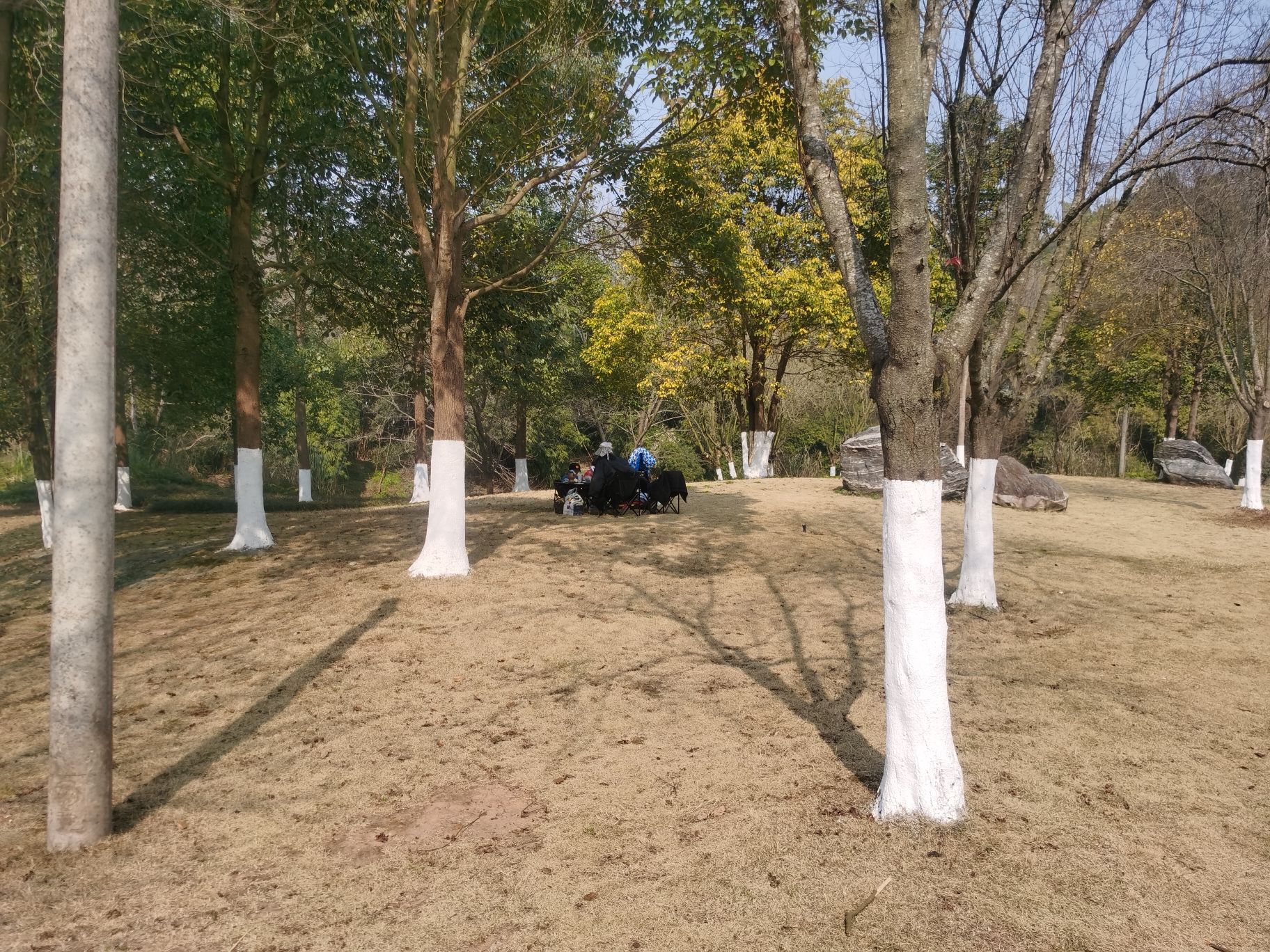 资阳湿地公园旅行图片 3