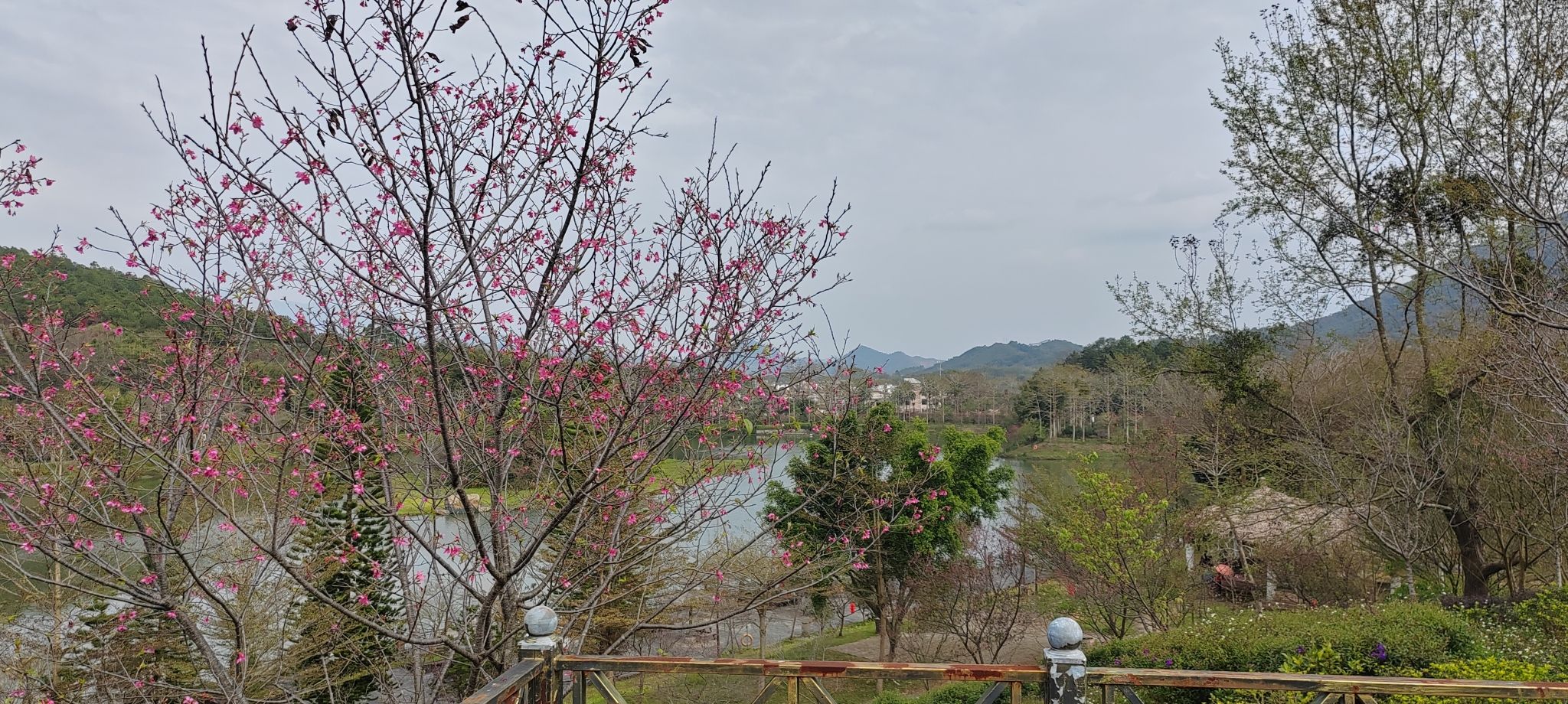 田野绿世界(暂停开放)旅行图片 1