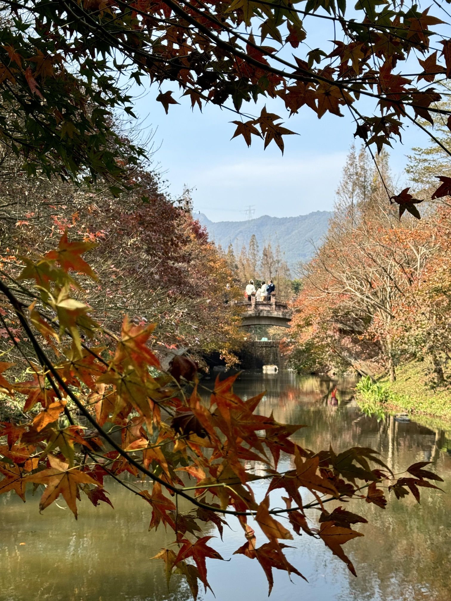 田野绿世界(暂停开放)旅行图片 1
