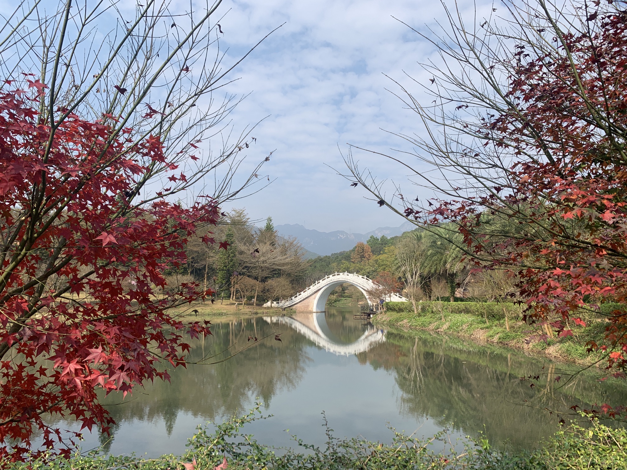 田野绿世界(暂停开放)旅行图片 2