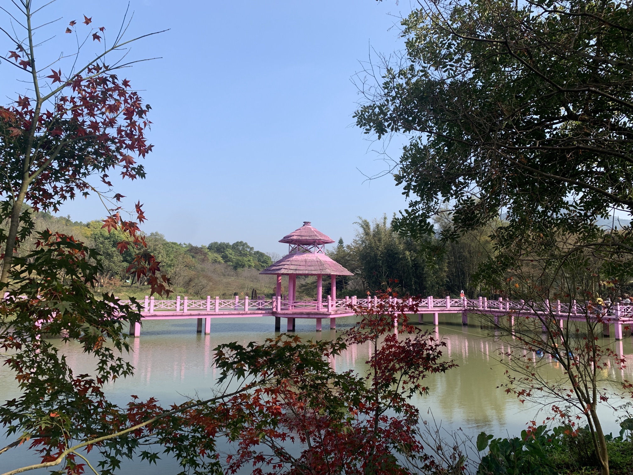 田野绿世界(暂停开放)旅行图片 3