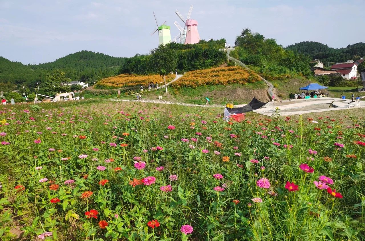 七彩明珠景区旅行图片 2