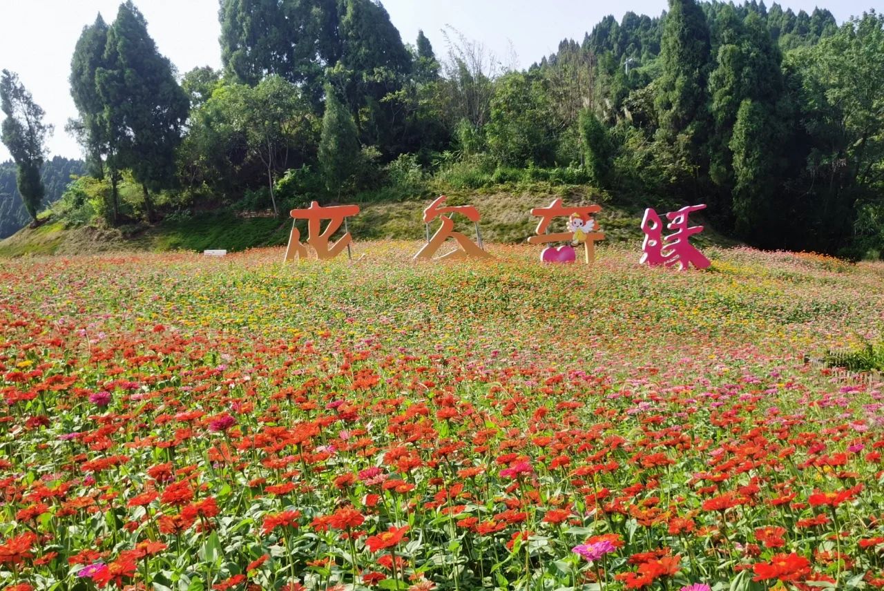 七彩明珠景区旅行图片 3