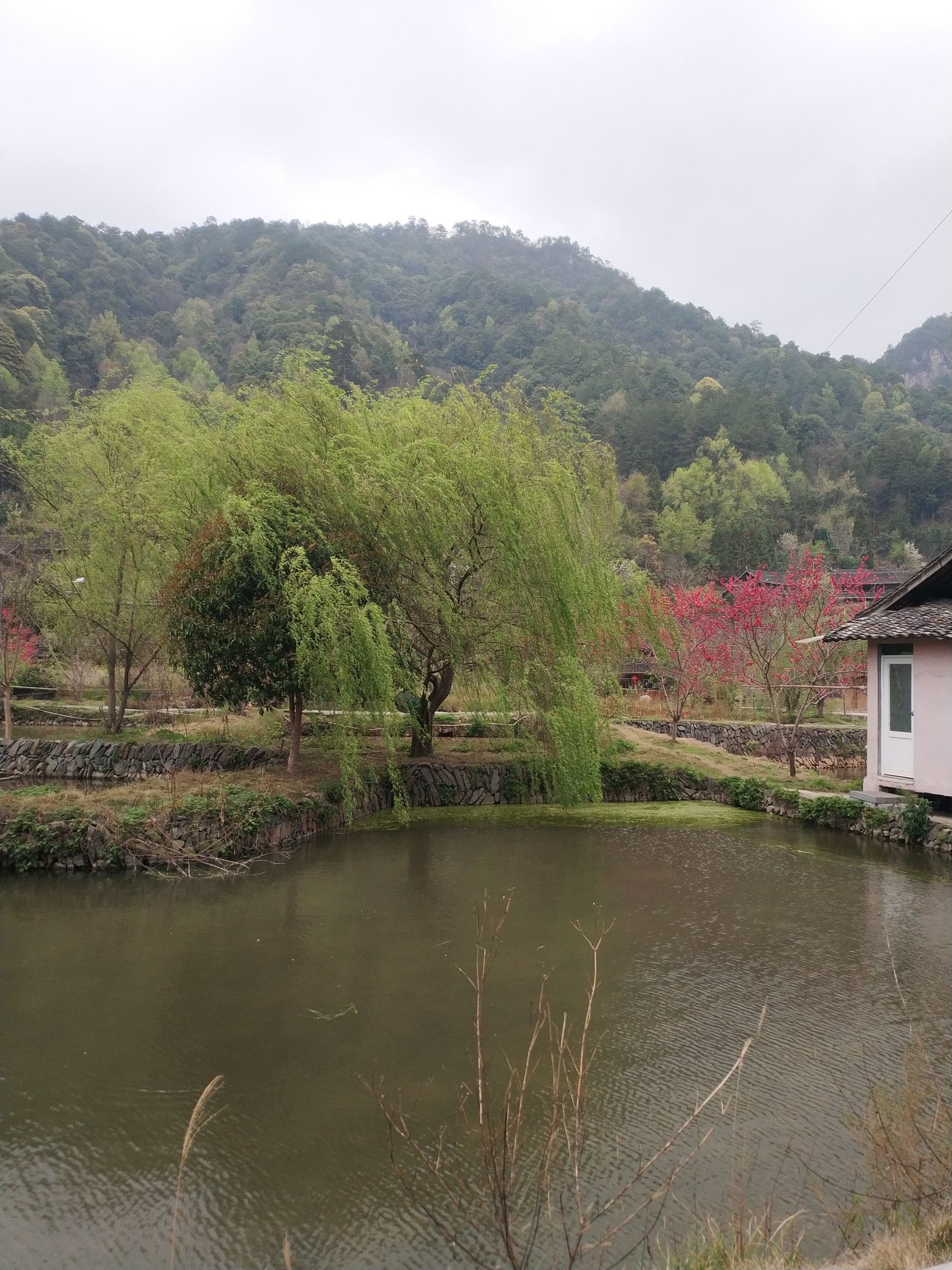 岩脚侗寨旅行图片 2