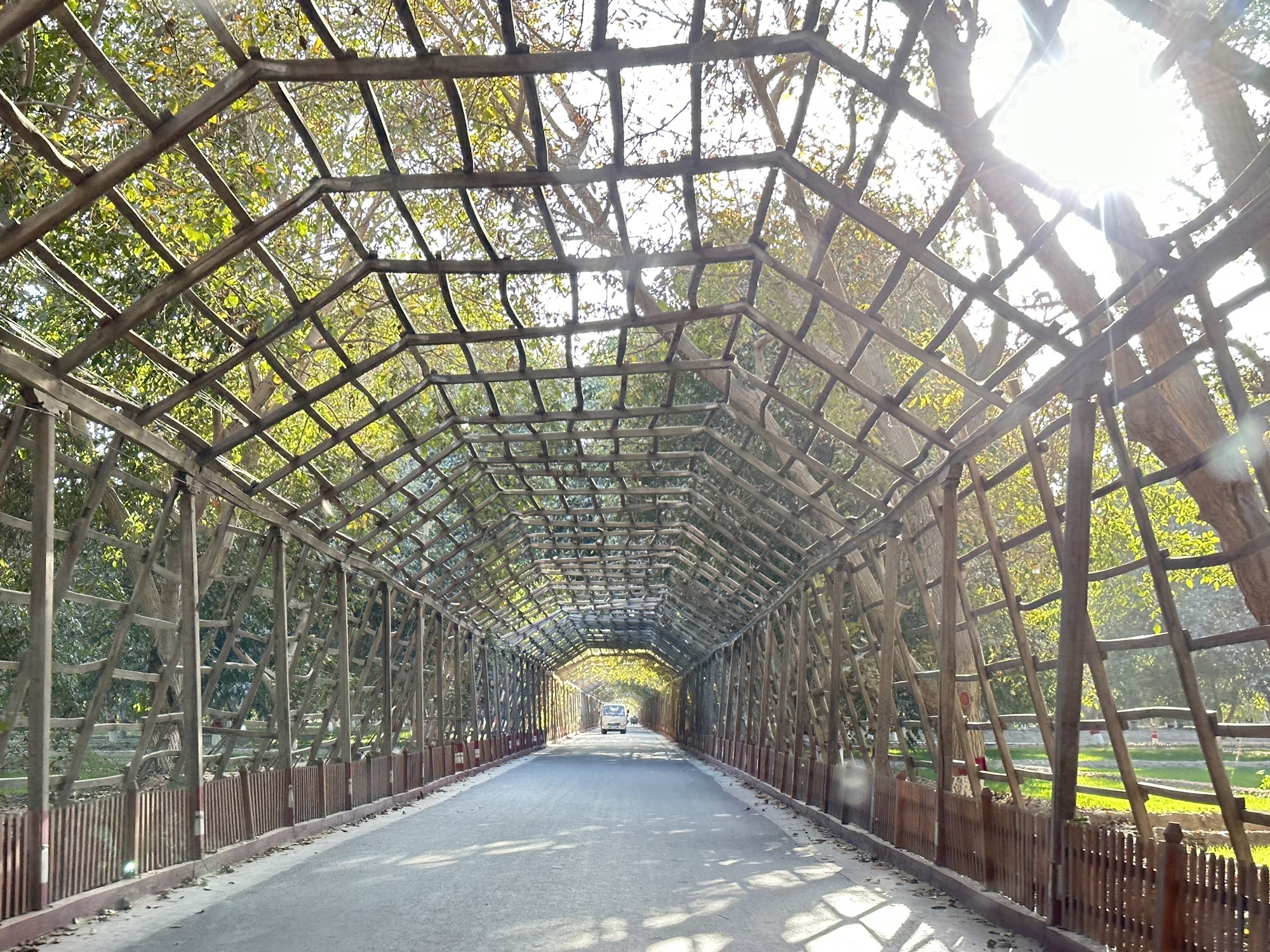 核桃树王公园