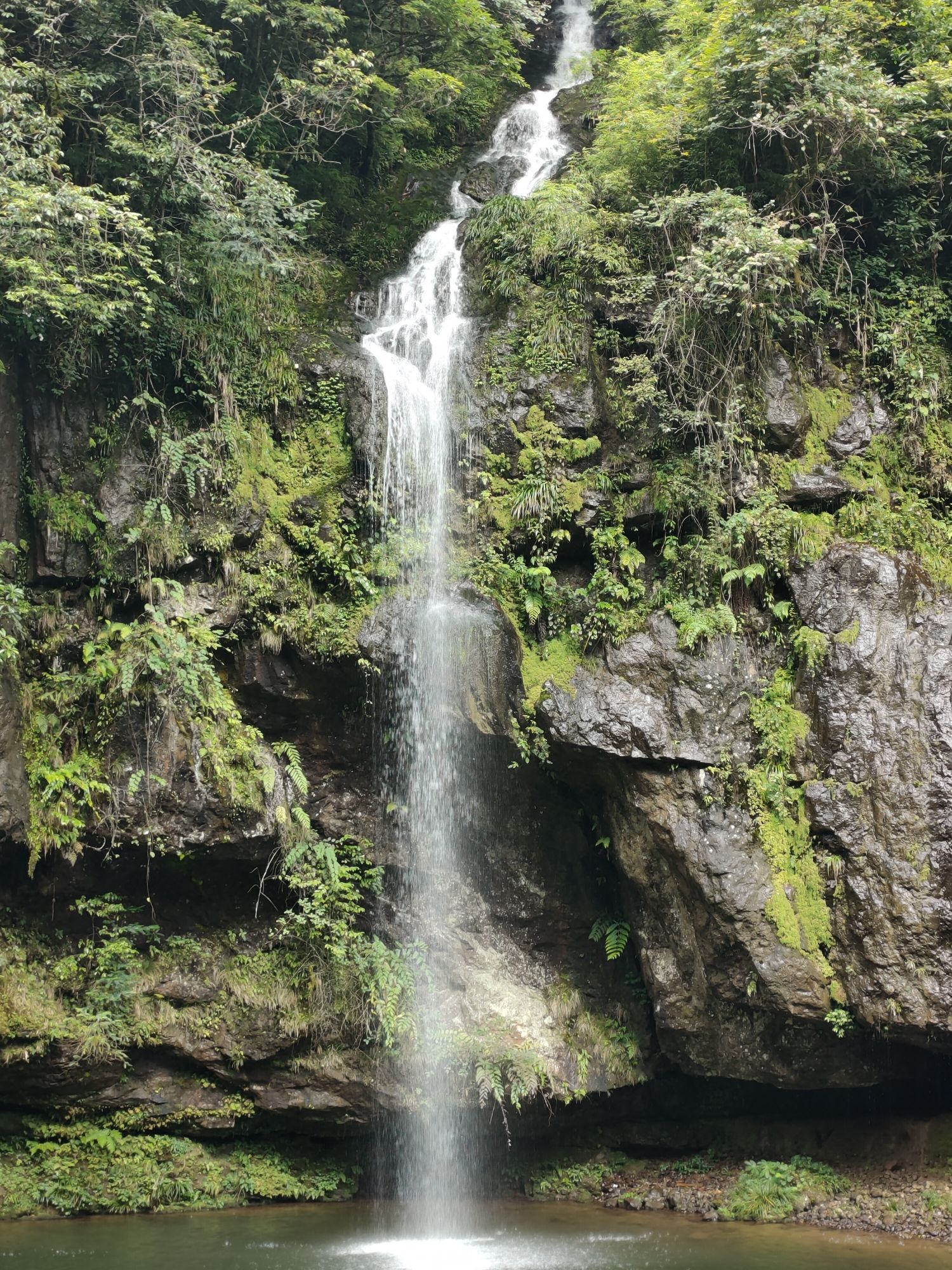 龙苍沟国家森林公园旅行图片 3