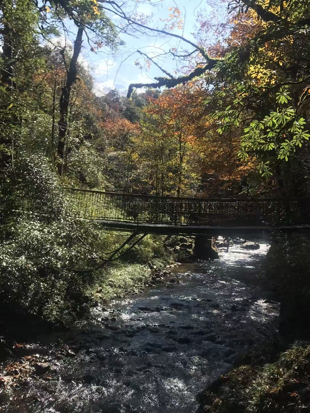 龙苍沟国家森林公园旅行图片 2