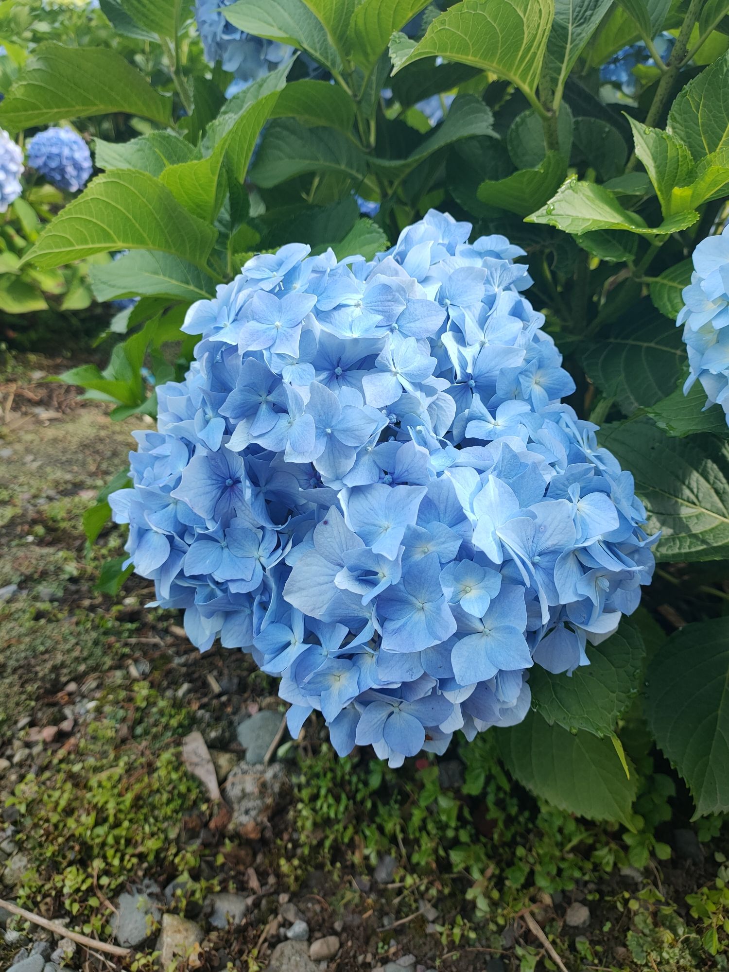 龙苍沟国家森林公园旅行图片 2