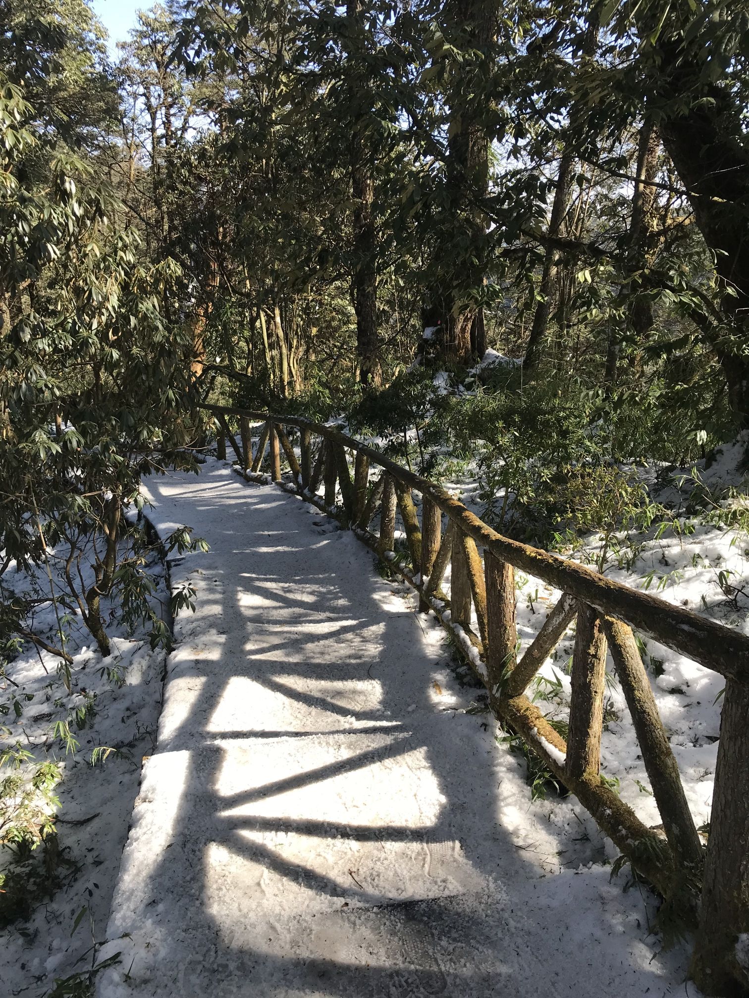 龙苍沟国家森林公园旅行图片 3