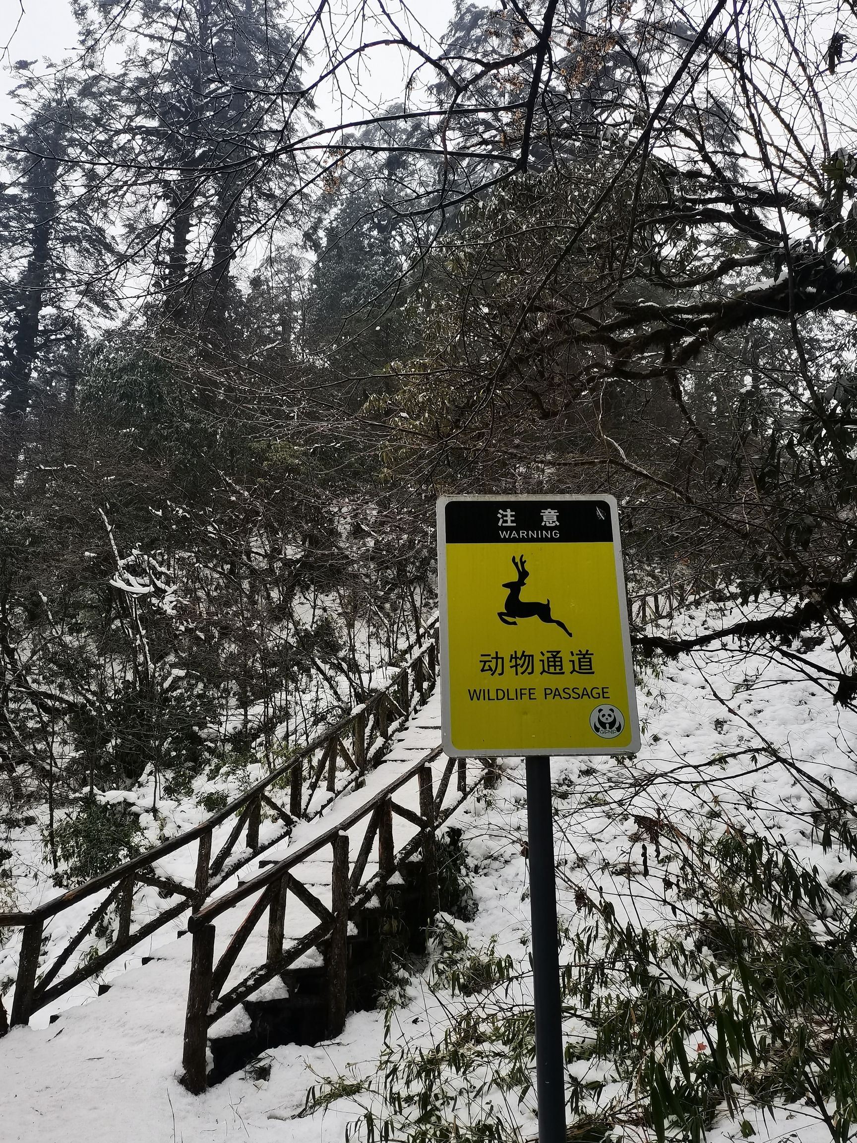 龙苍沟国家森林公园旅行图片 2