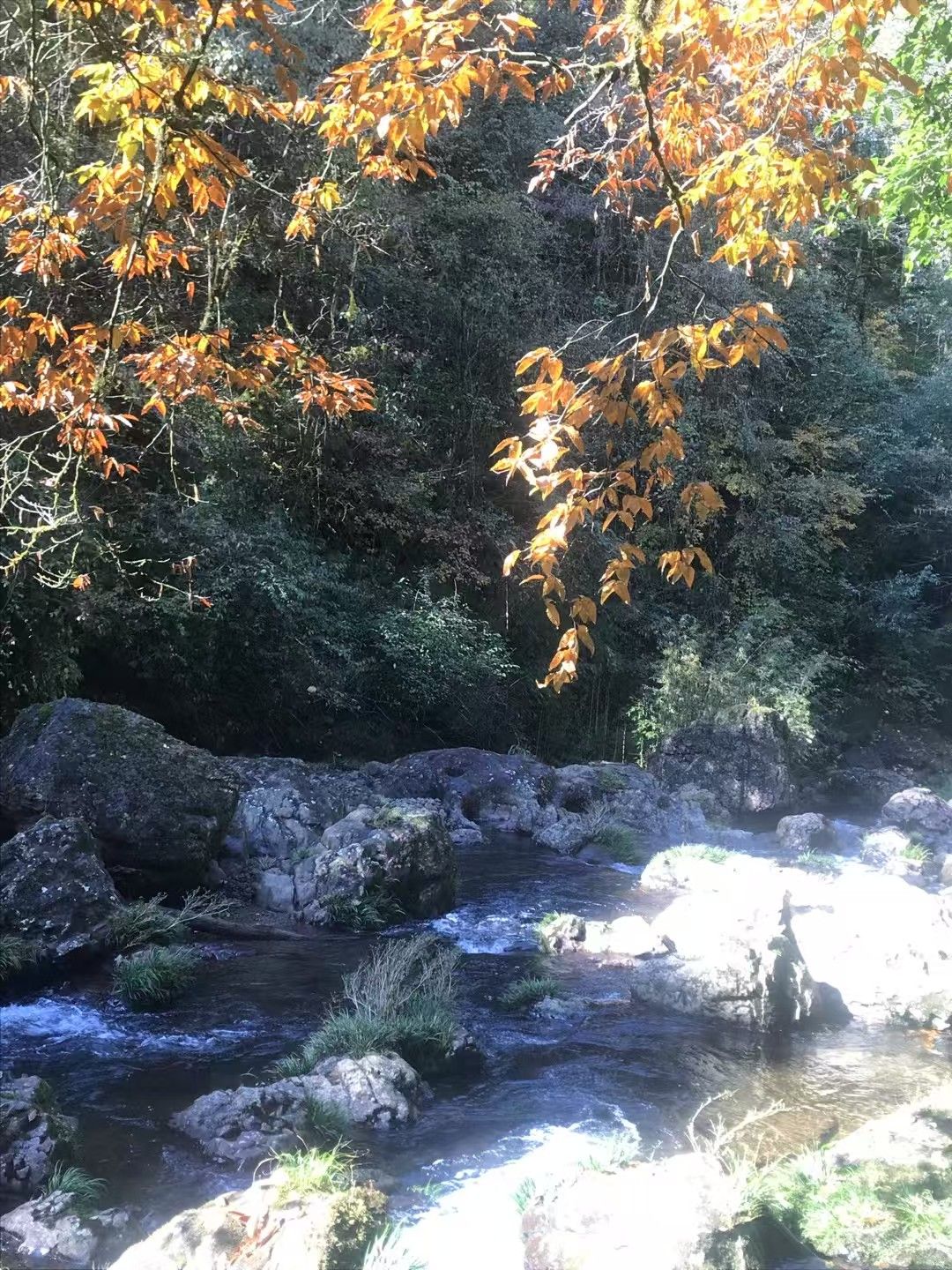 龙苍沟国家森林公园旅行图片 3