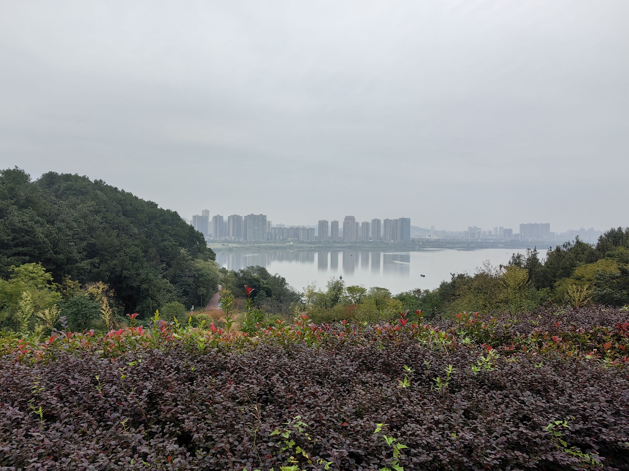 猪山生态公园旅行图片 1